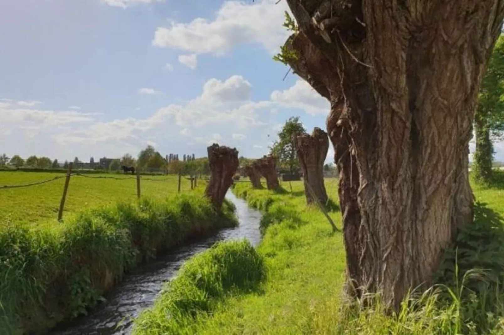 Meschermolen 6-Gebieden zomer 1km