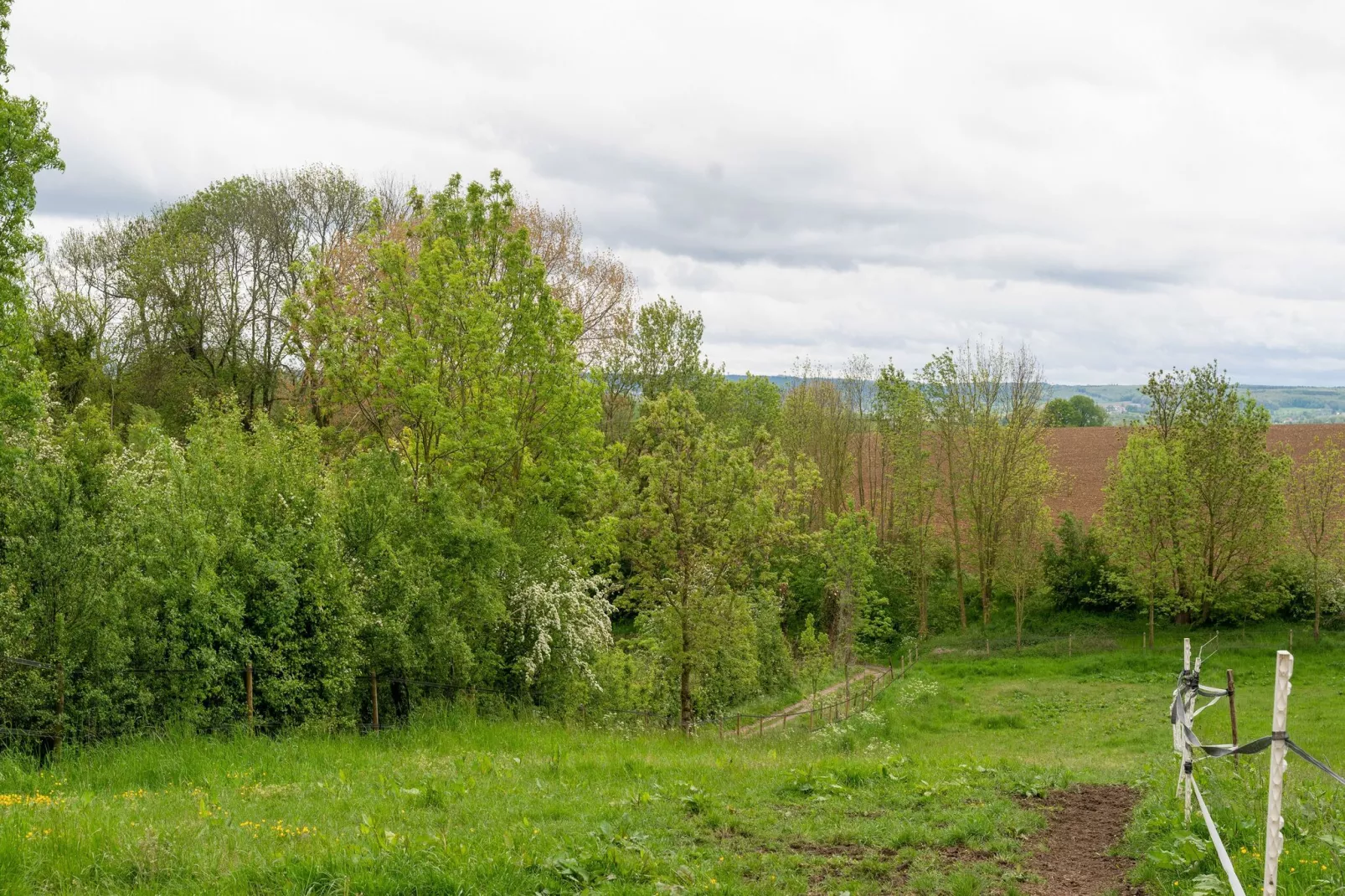 Valleyview Cottages - NR14-Gebieden zomer 1km