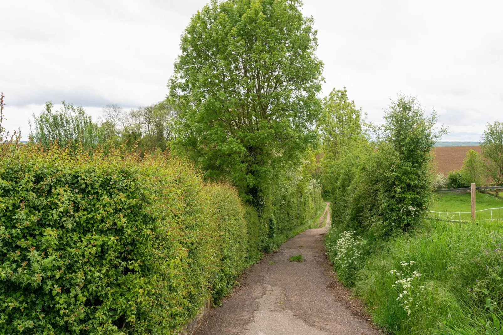Valleyview Cottages - NR14-Gebieden zomer 5km