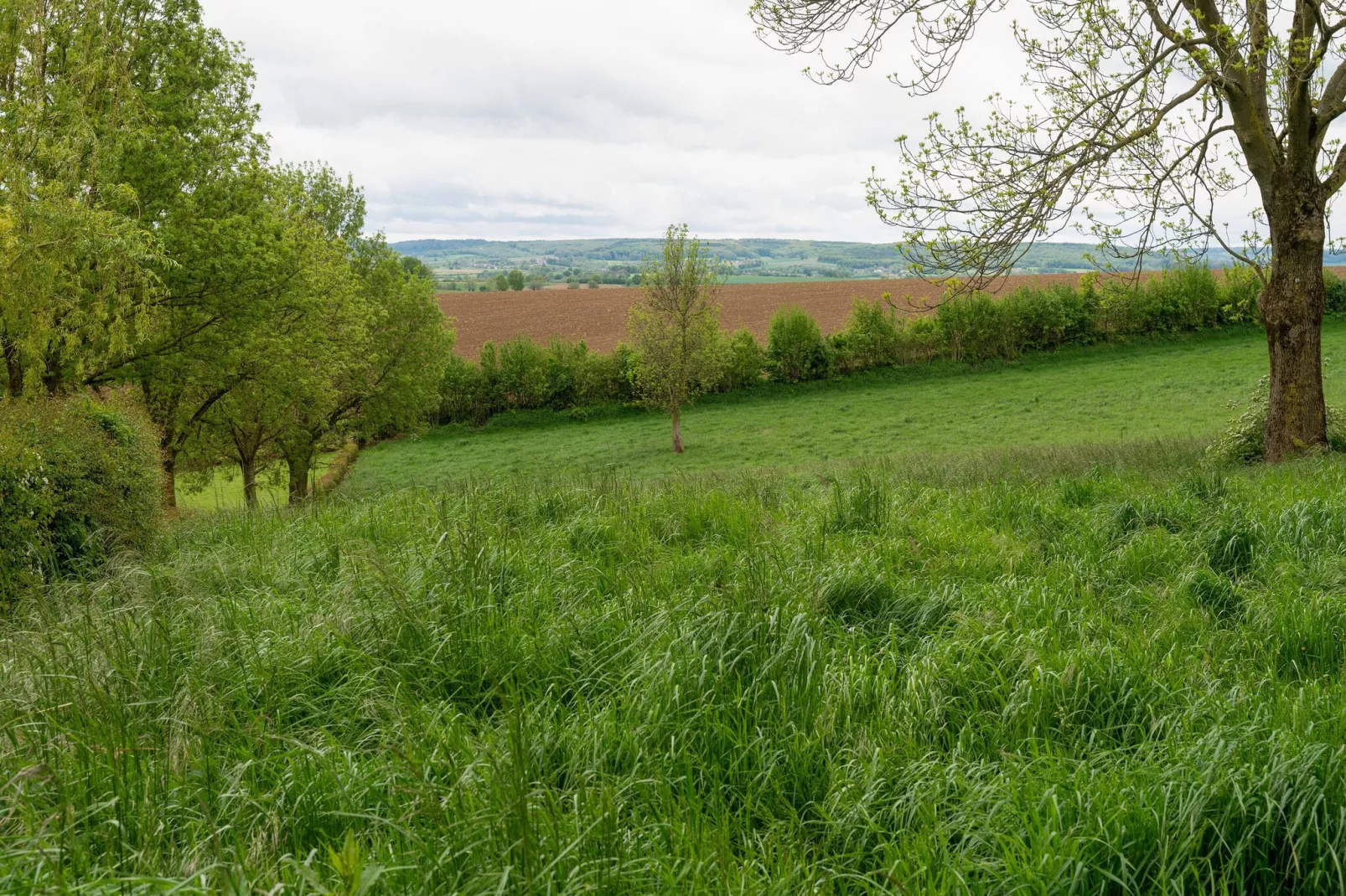 Valleyview Cottages - NR14-Gebieden zomer 5km