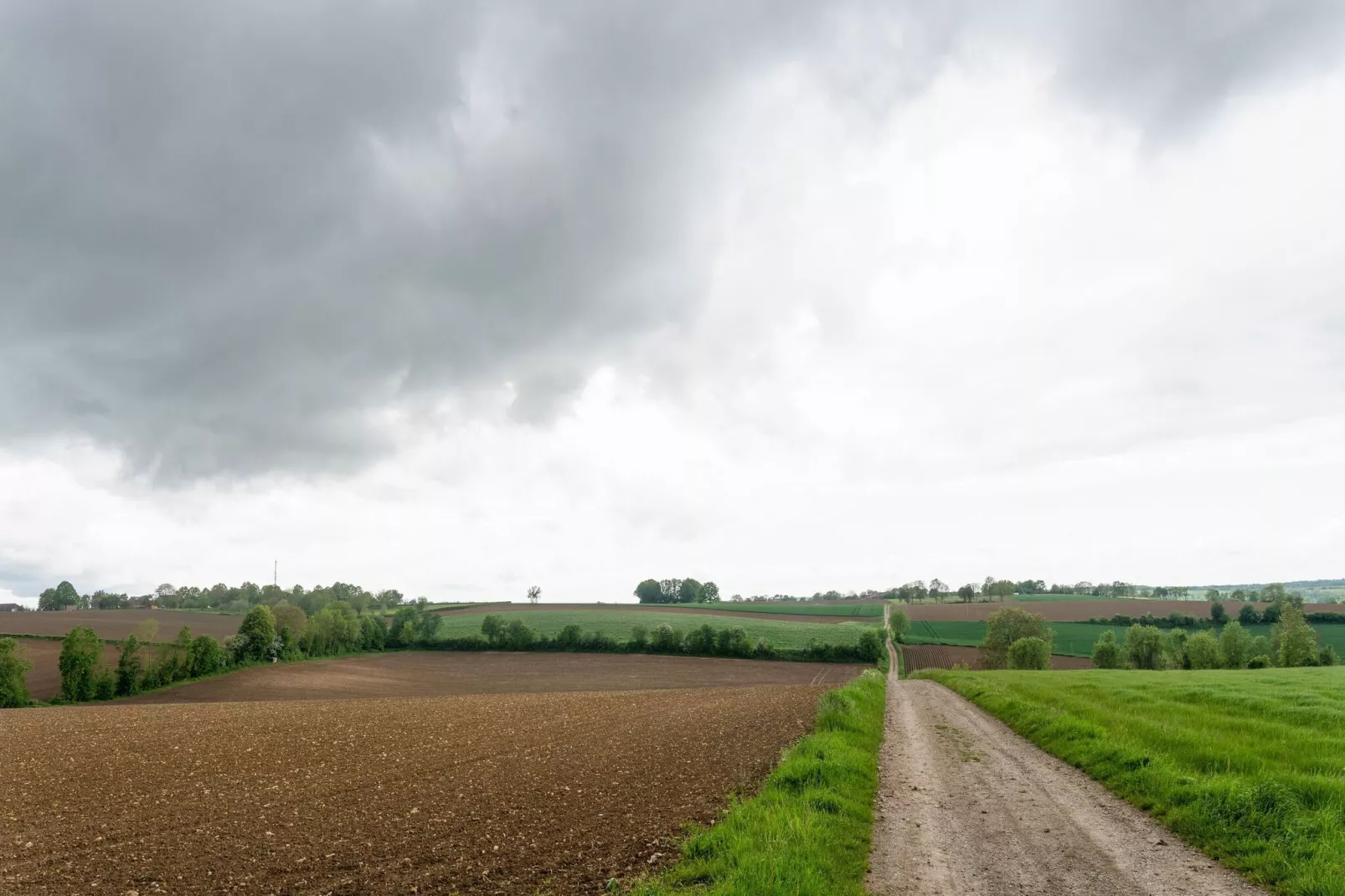 Bernardushoeve - NR03-Gebieden zomer 5km