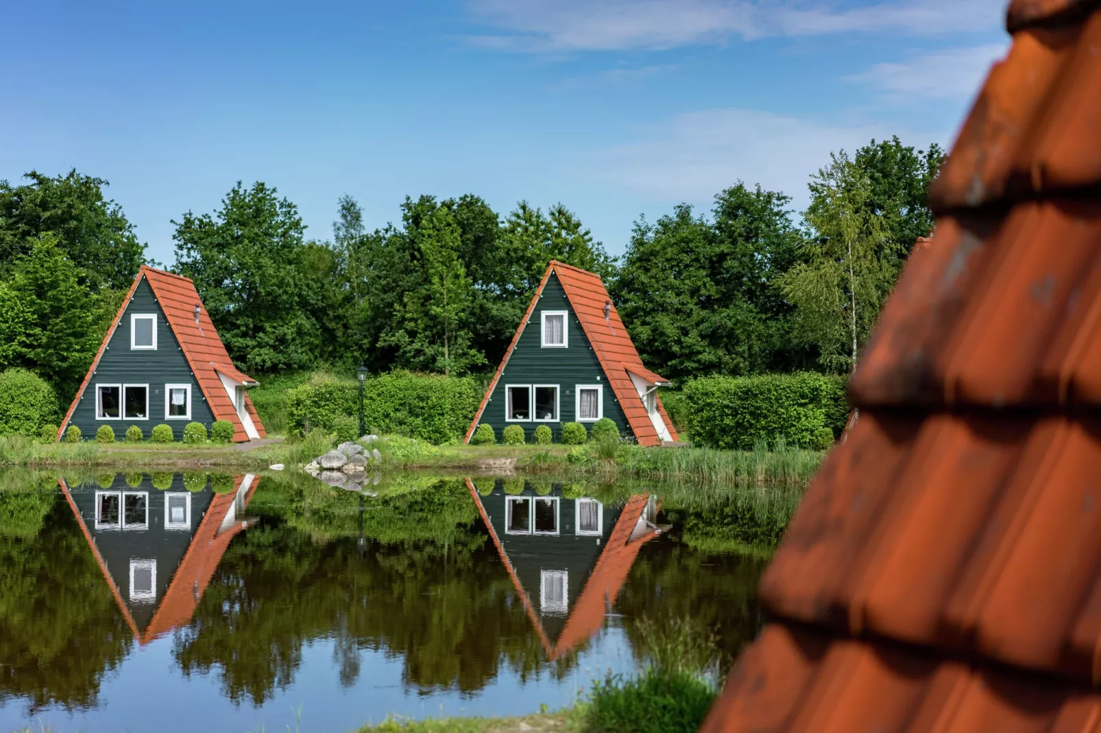 Vakantiepark Eigen Wijze 1-Buitenkant zomer