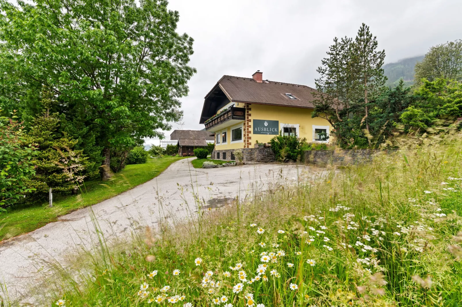 St Michaelblick-Gebieden zomer 1km