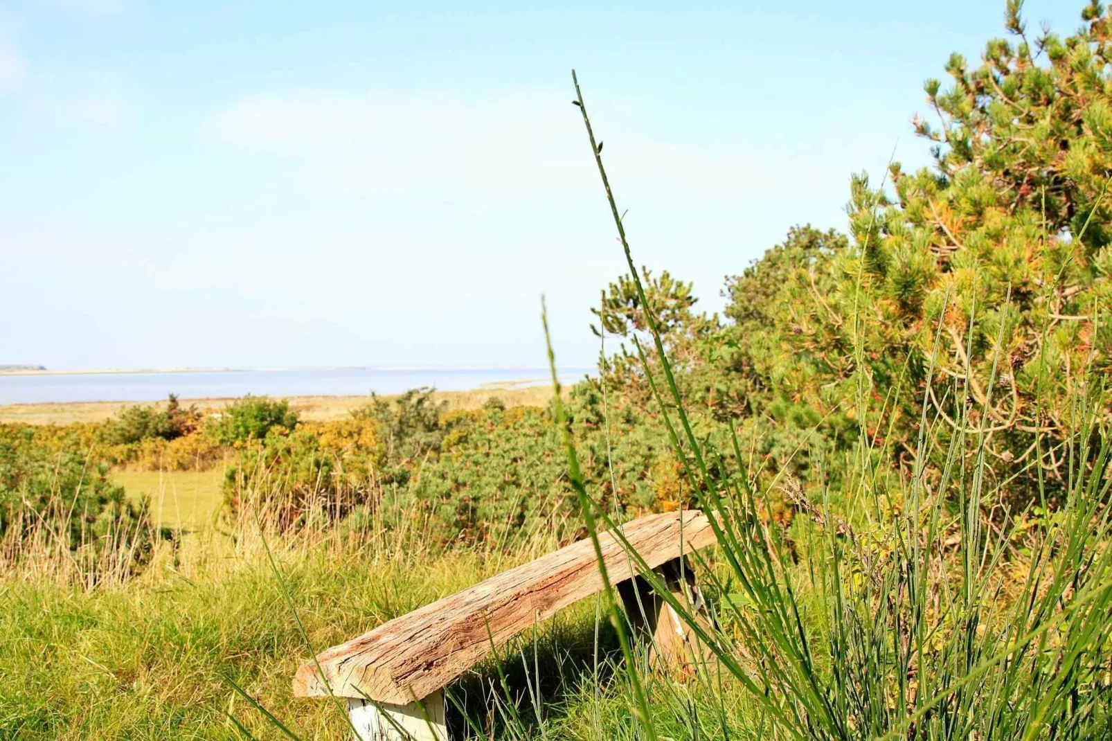 4 persoons vakantie huis in Martofte-Waterzicht