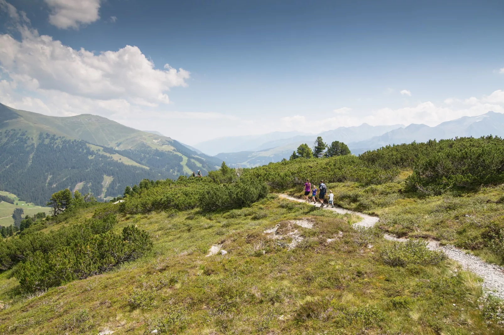 Edenlehen - Wildkogel-Gebieden zomer 1km