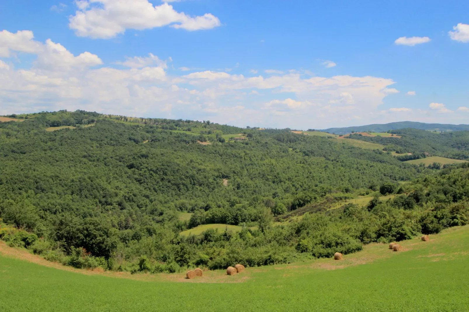 Villa Fiorella Dieci-Gebieden zomer 1km