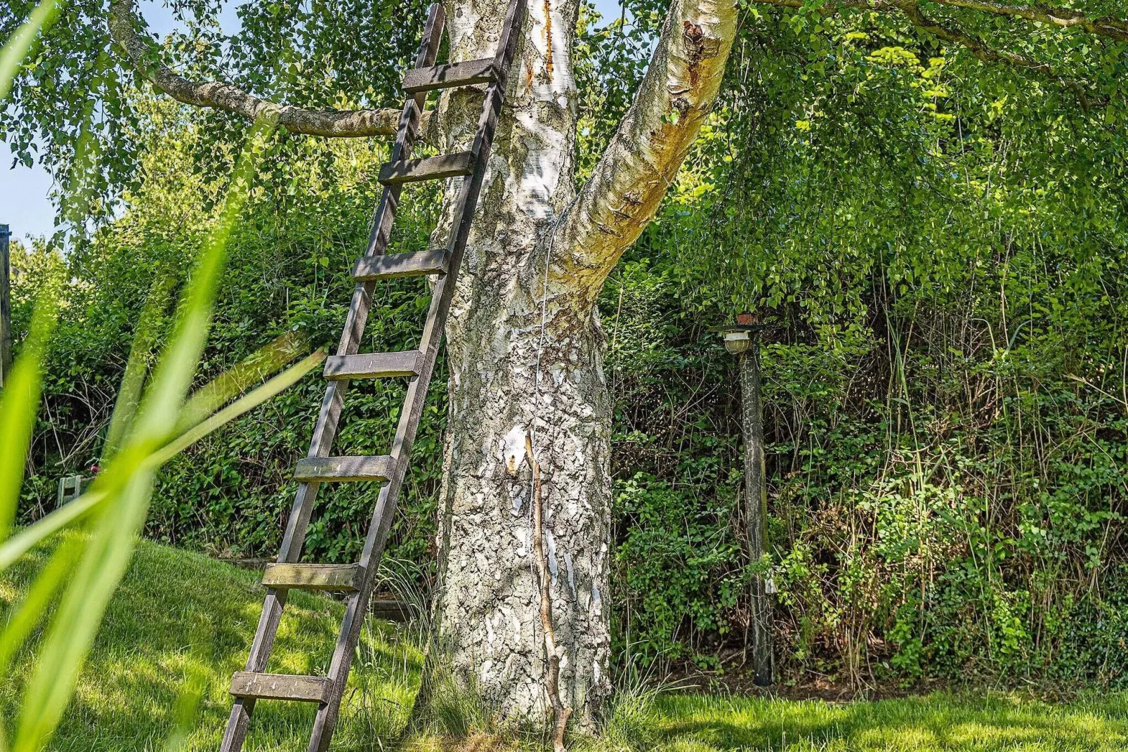 4 persoons vakantie huis in Væggerløse-Buitenlucht