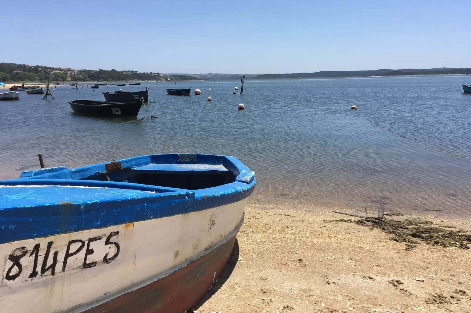 Villa Mar e Lagoa-Gebieden zomer 1km