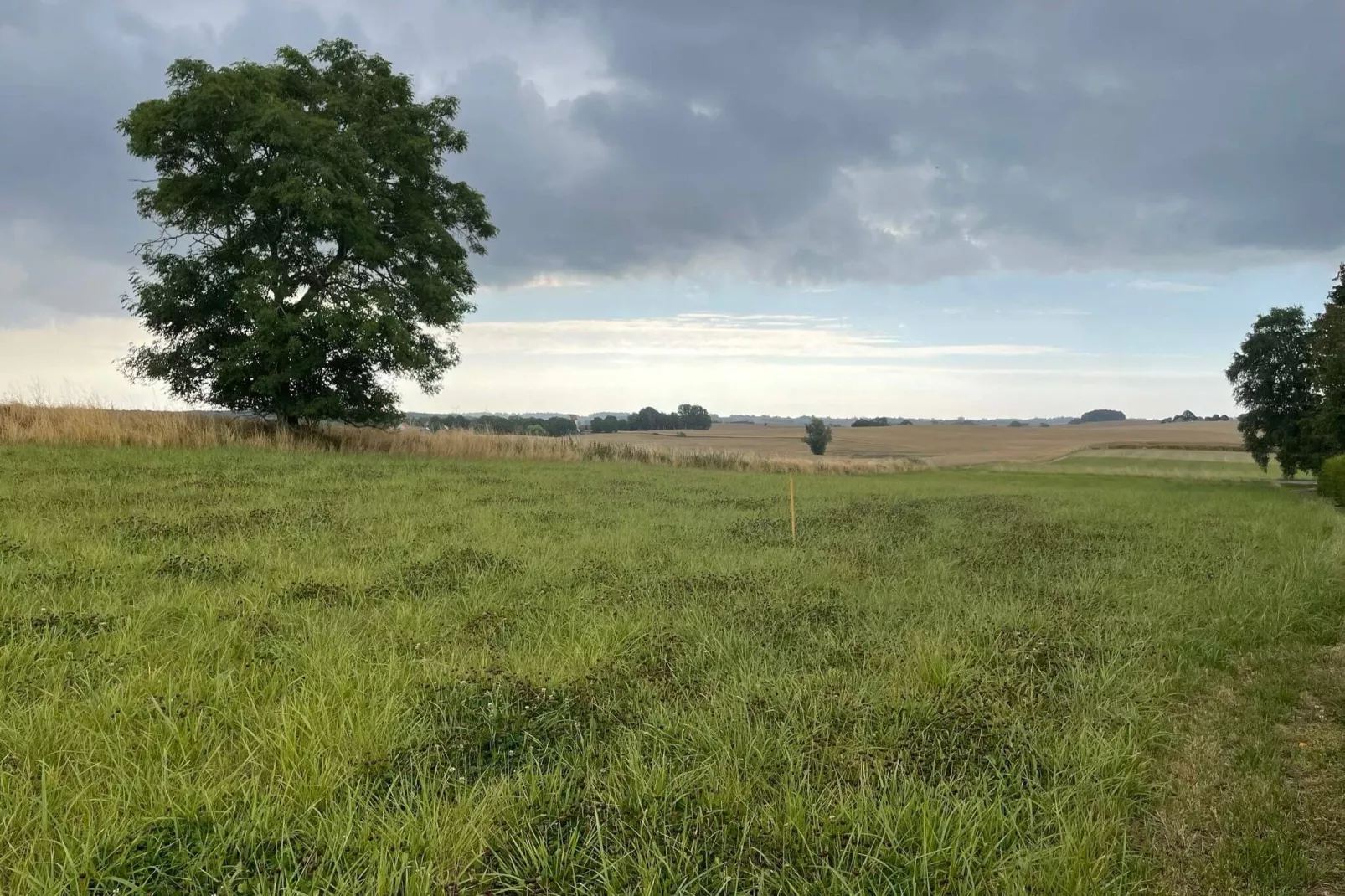 4 persoons vakantie huis in YSTAD-By Traum-Buitenlucht