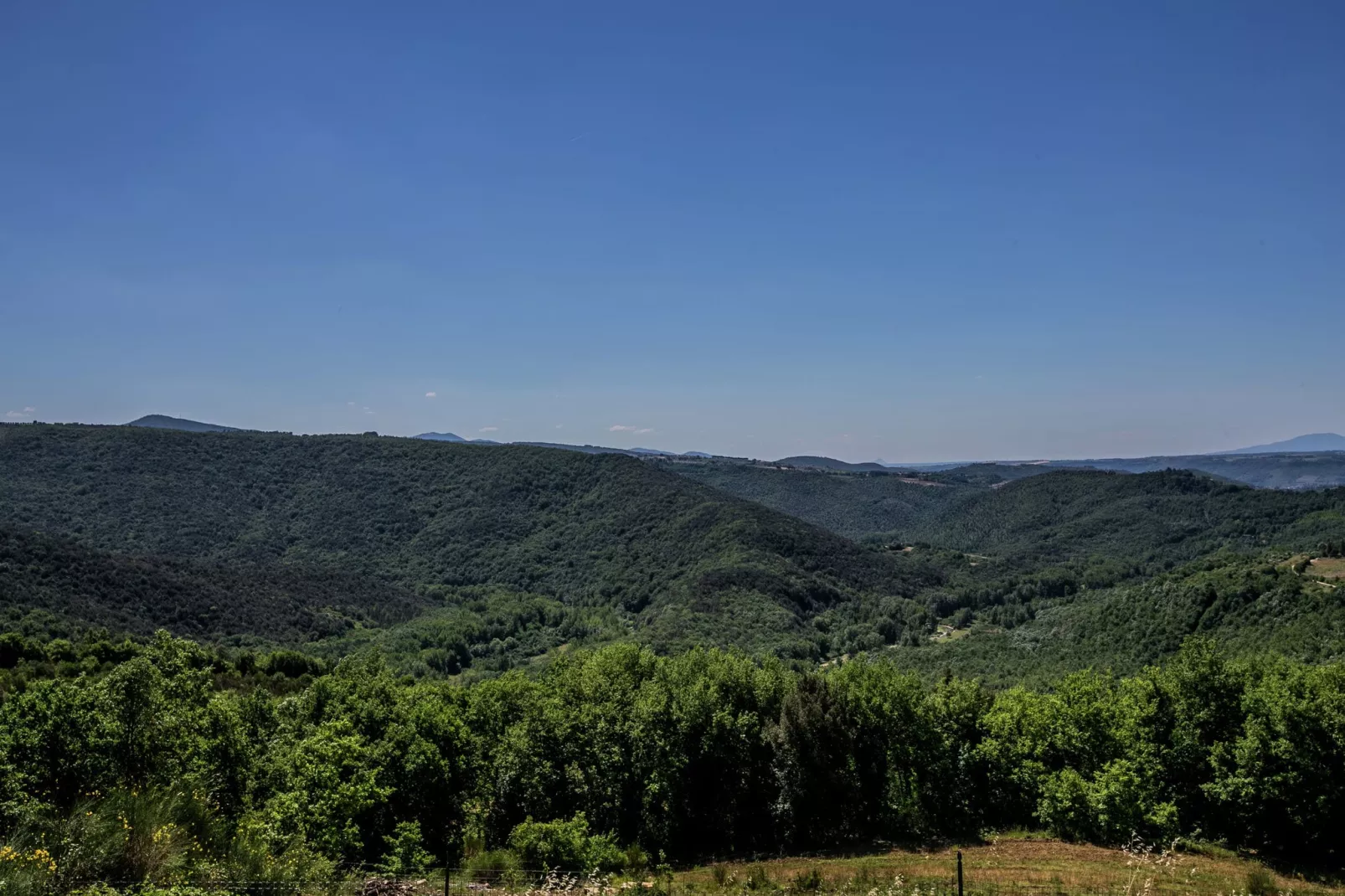 Zafferano-Gebieden zomer 20km