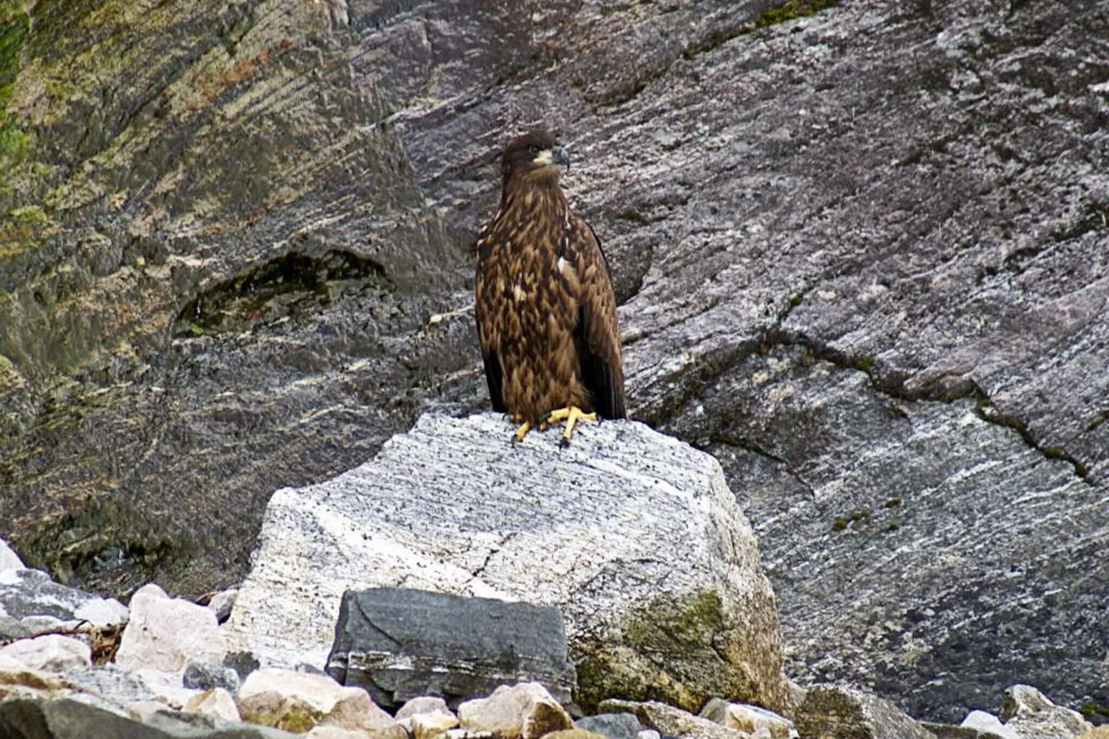 6 persoons vakantie huis in EIDSVÅG-Niet-getagd