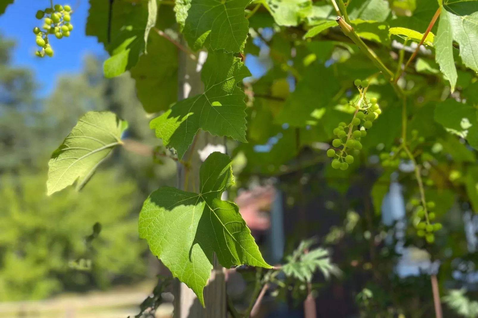 4 persoons vakantie huis in UDDEVALLA-By Traum-Buitenlucht