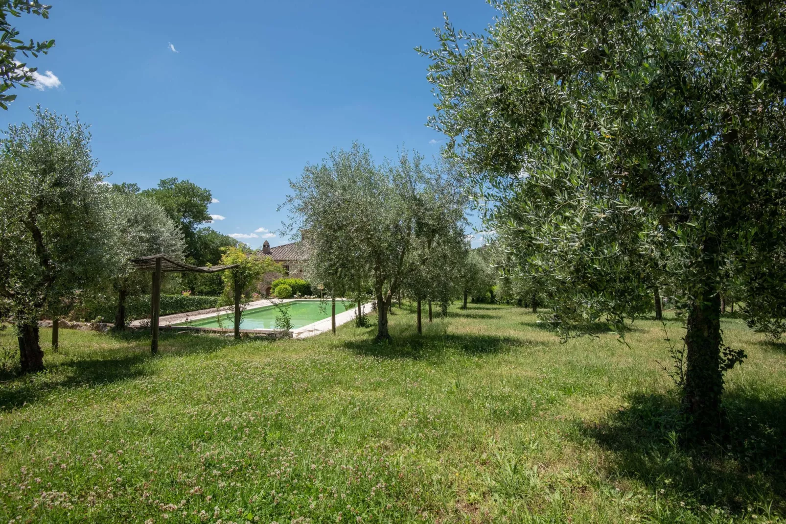 Rustiek appartement in Rapolano Terme met zwembad - Tuinen zomer