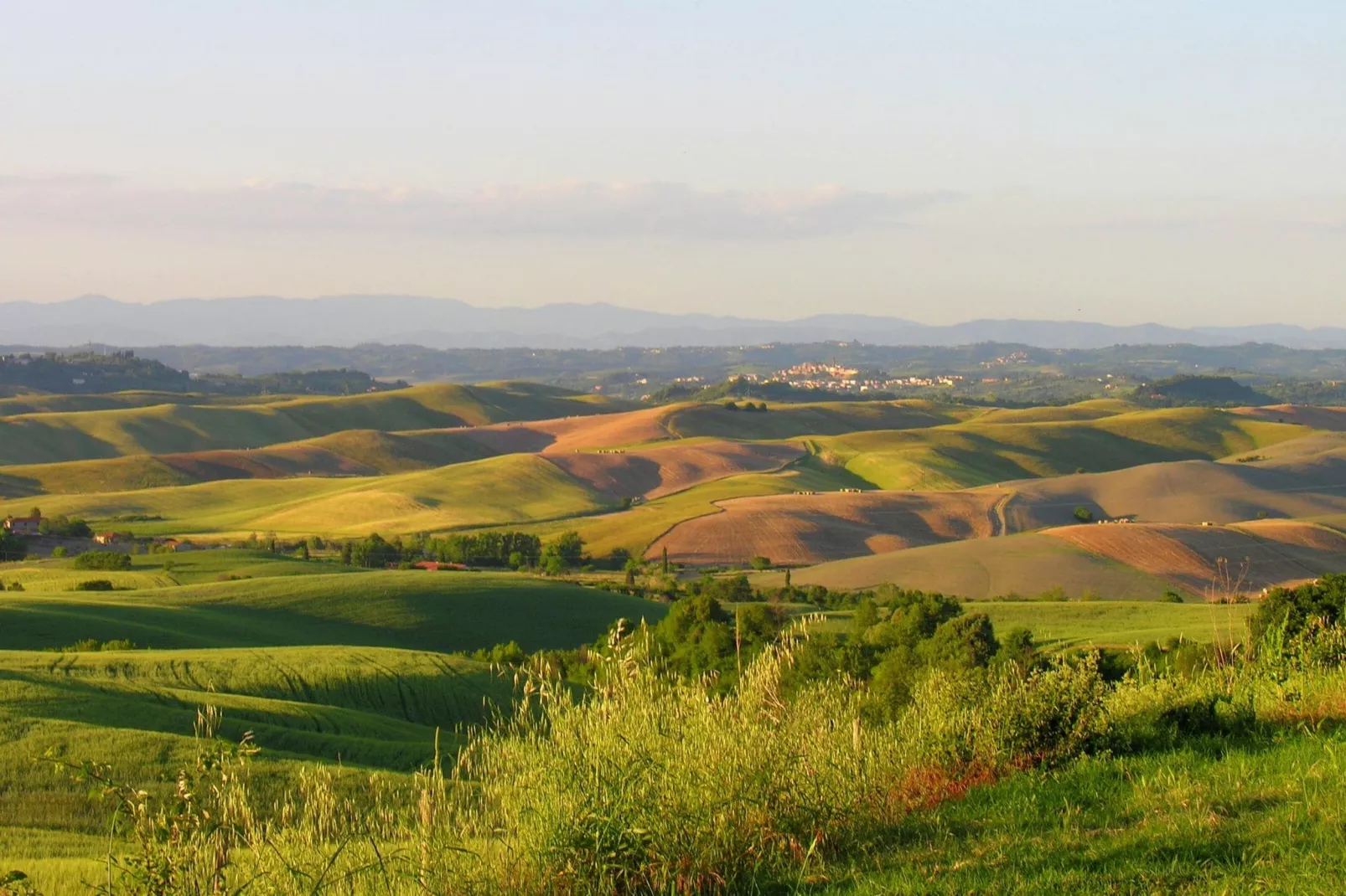 Podere San Giovanni-Gebieden zomer 1km