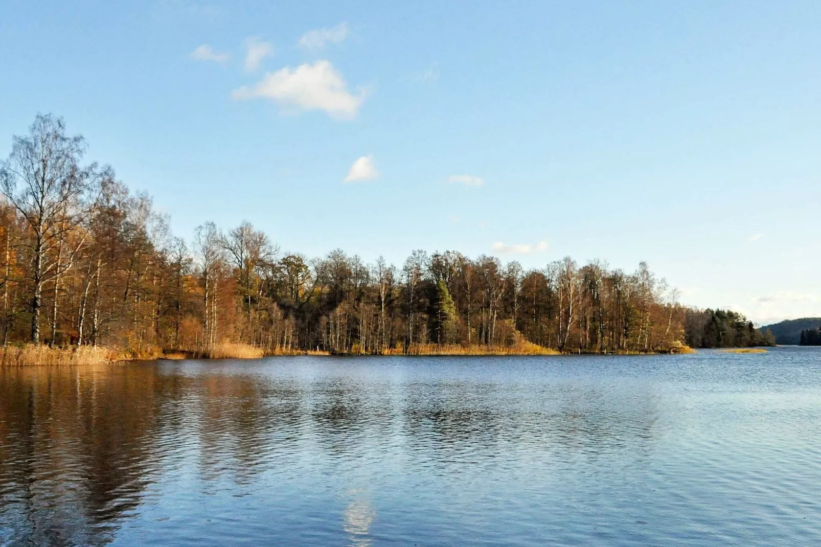 4 persoons vakantie huis in Ulfborg-By Traum-Niet-getagd