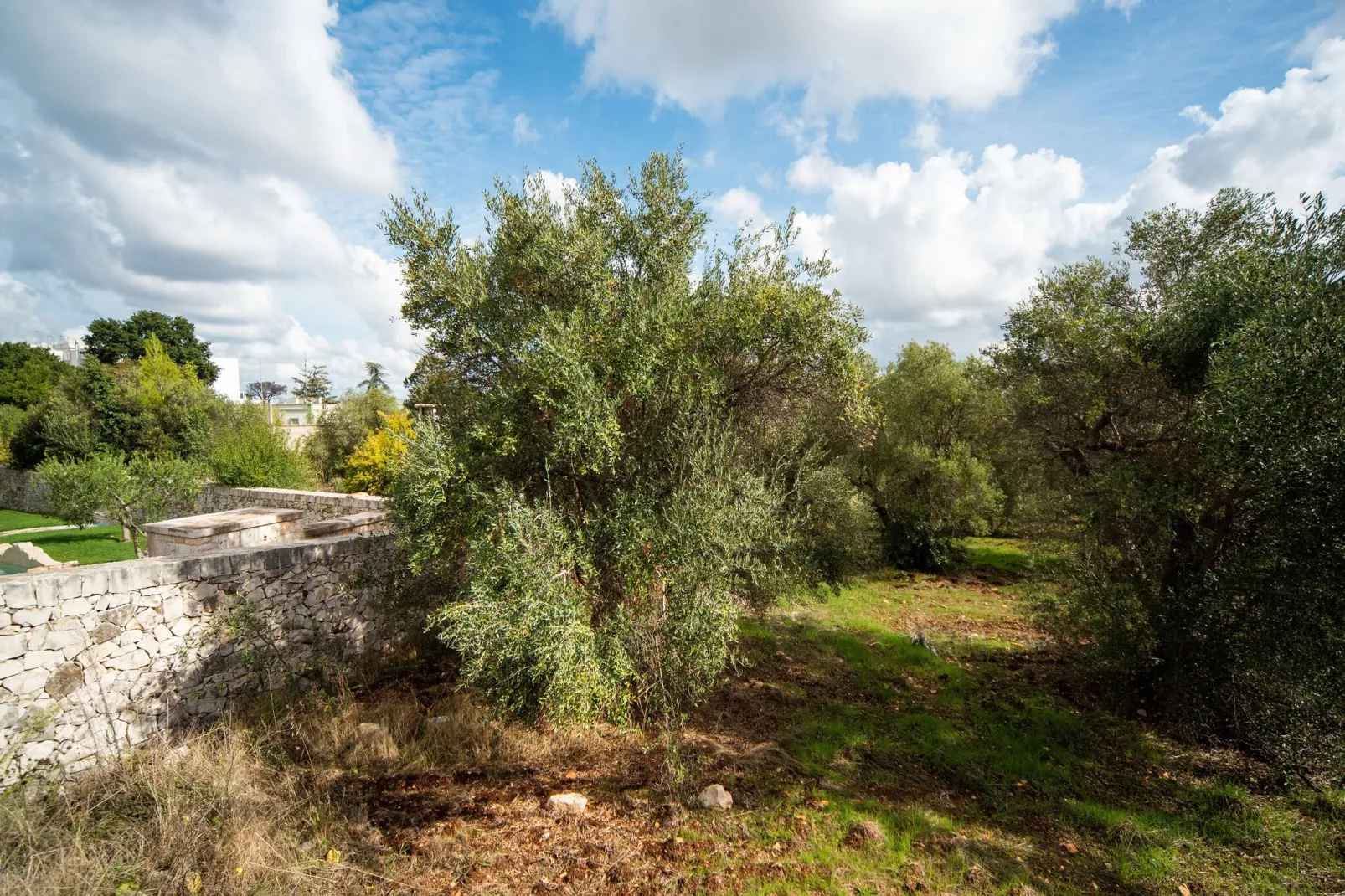 Trullo dell'Ulivo per Tre-Uitzicht zomer