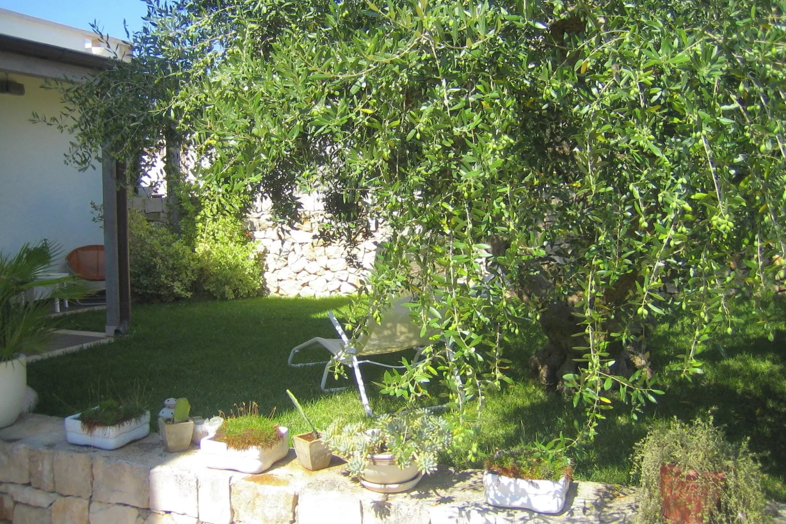 Trullo dell'Ulivo per Due-Tuinen zomer