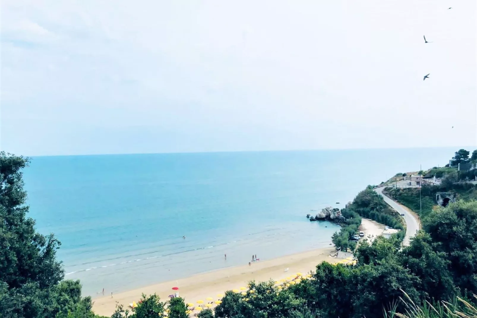 viewsummer