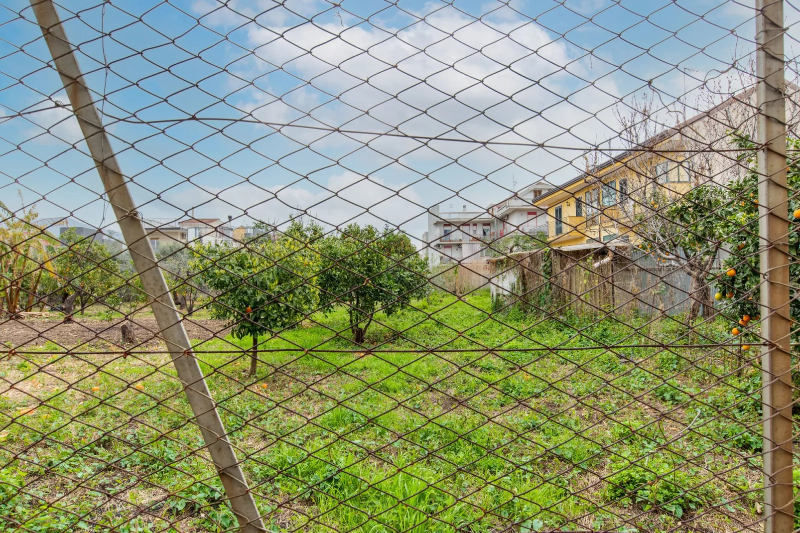 MONFORTE CASA SICILIA - Gebieden zomer 5km