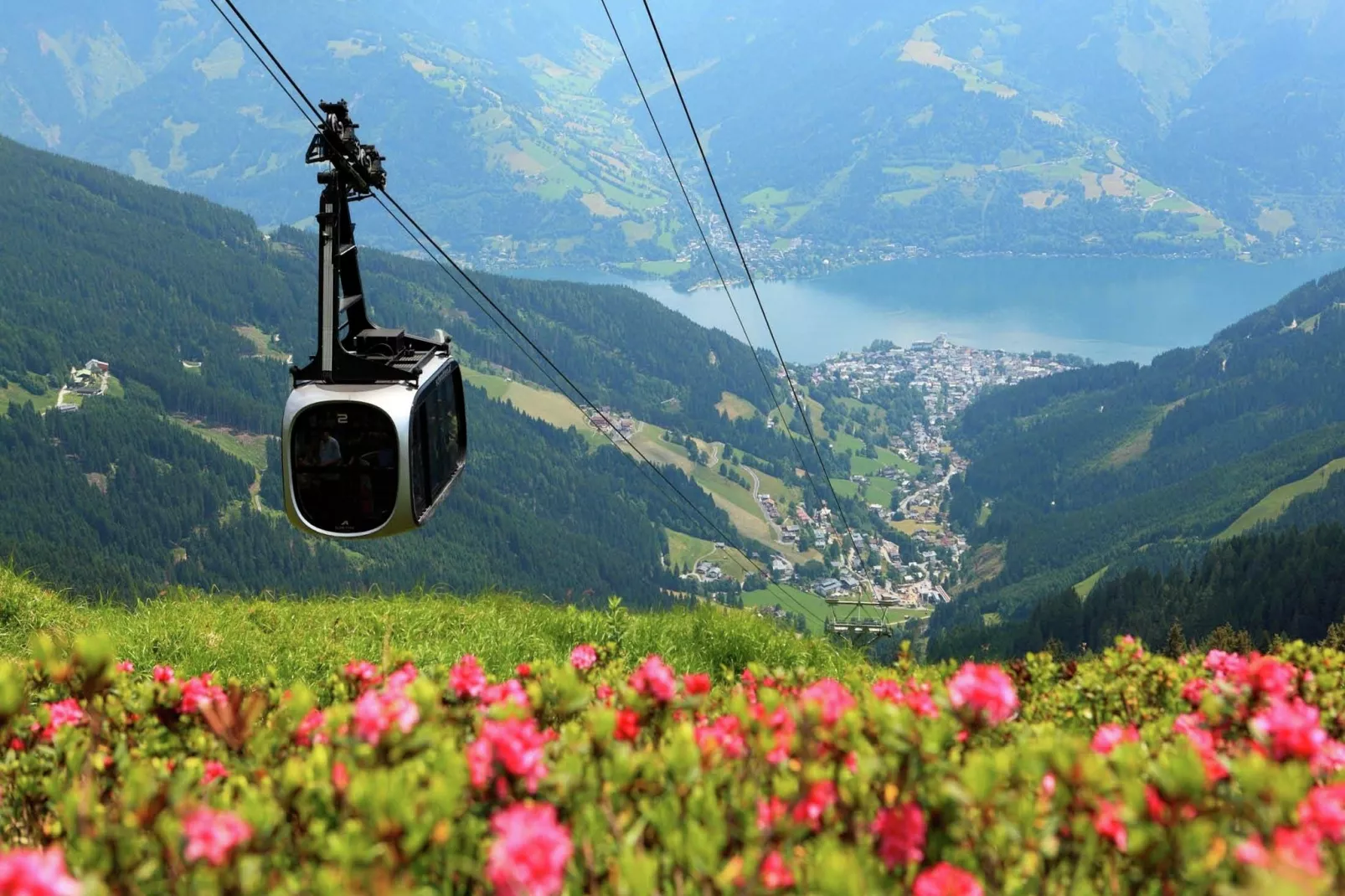 Chalet&Apartment AreitXpress Alpine Comfort-Gebieden zomer 1km