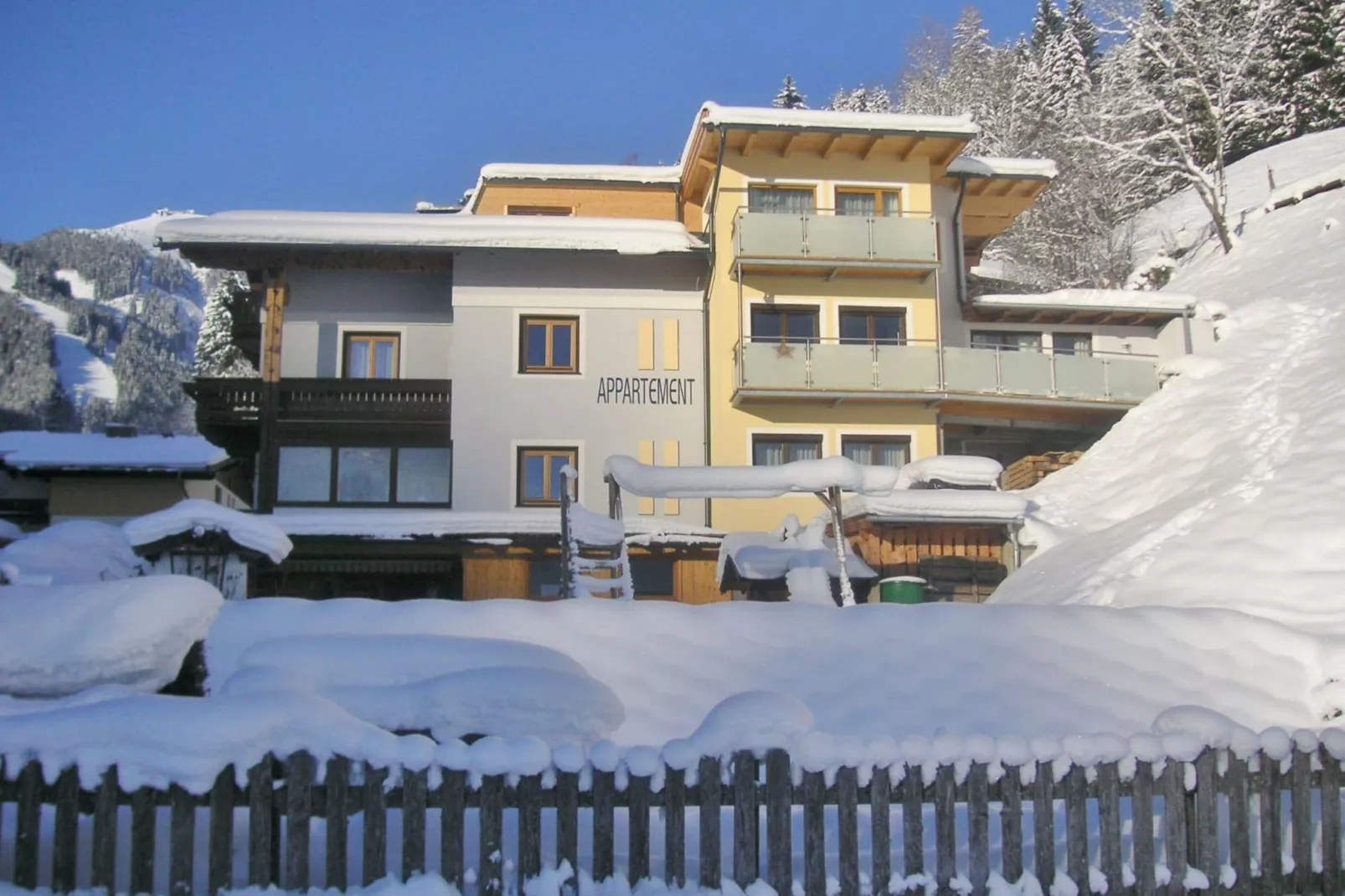 Appartement Schmittenhöhe-Exterieur winter