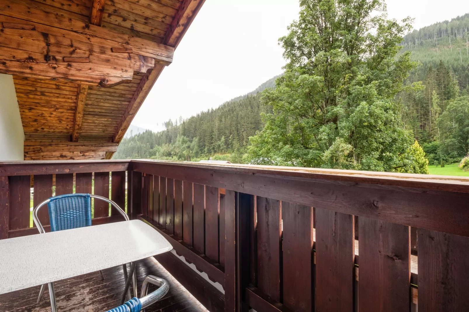 Appartement Wildkogel-Uitzicht zomer