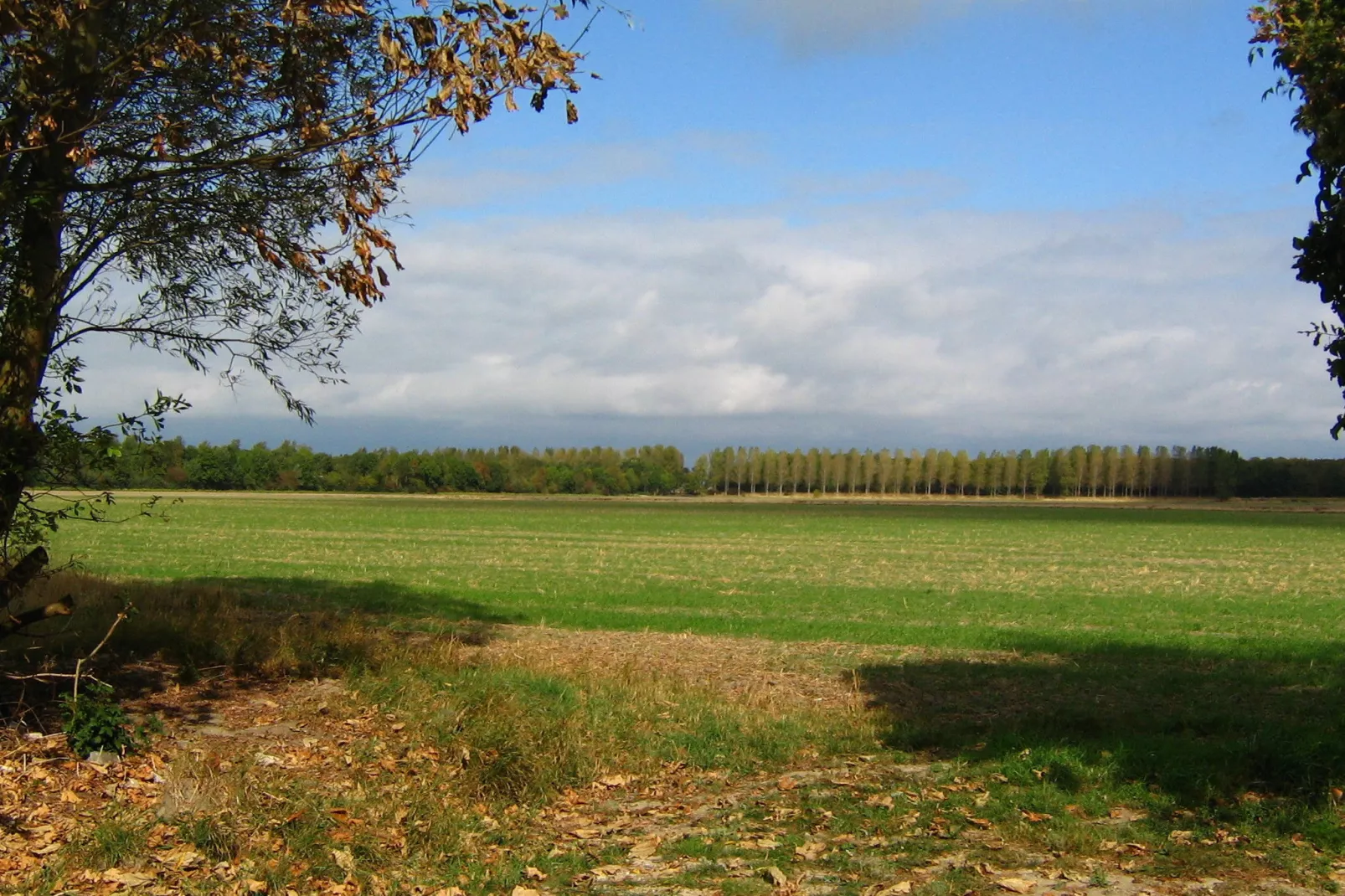 In de Polder-Gebieden zomer 1km