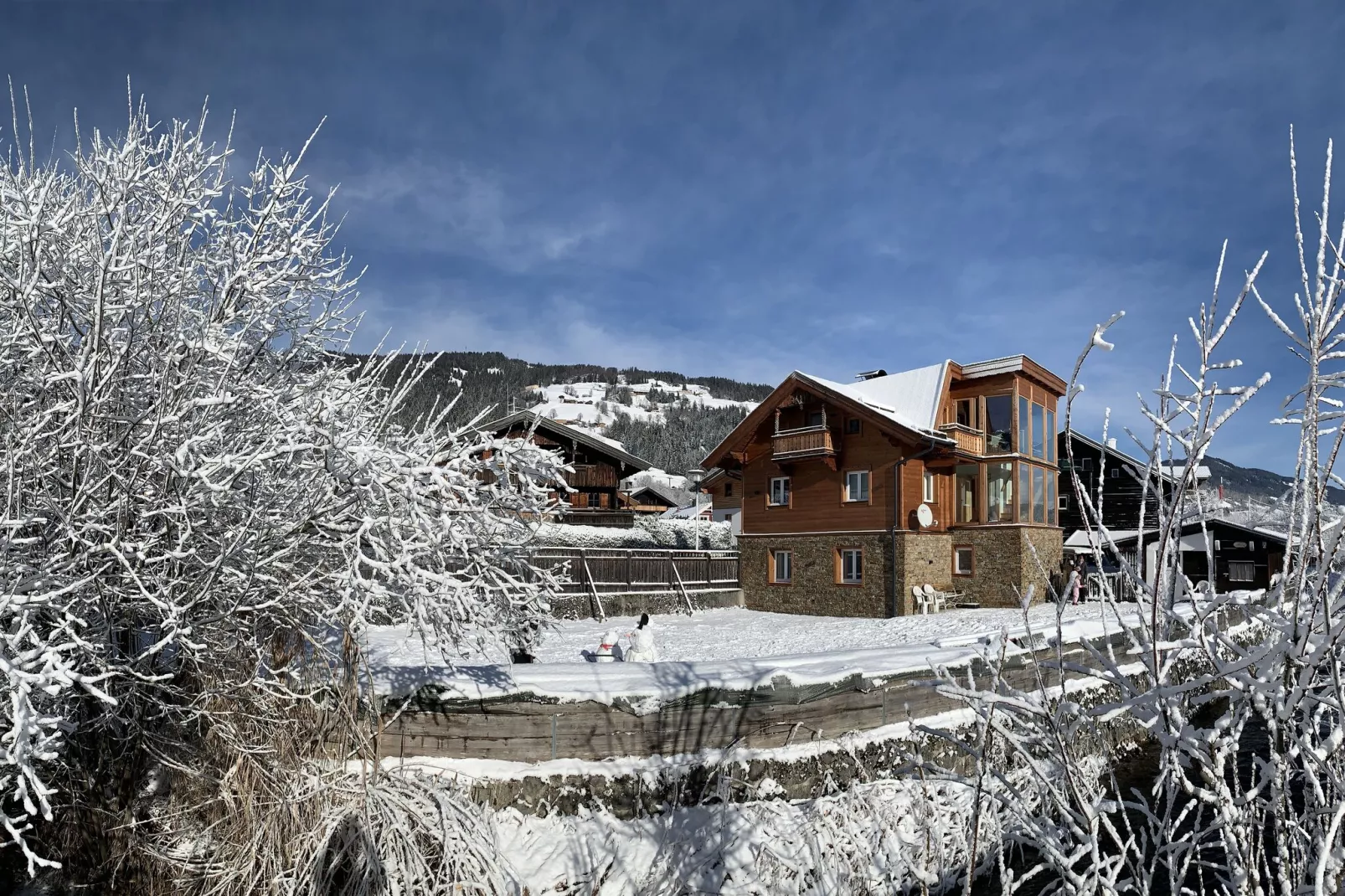 Apartment Steiner 1-Exterieur winter