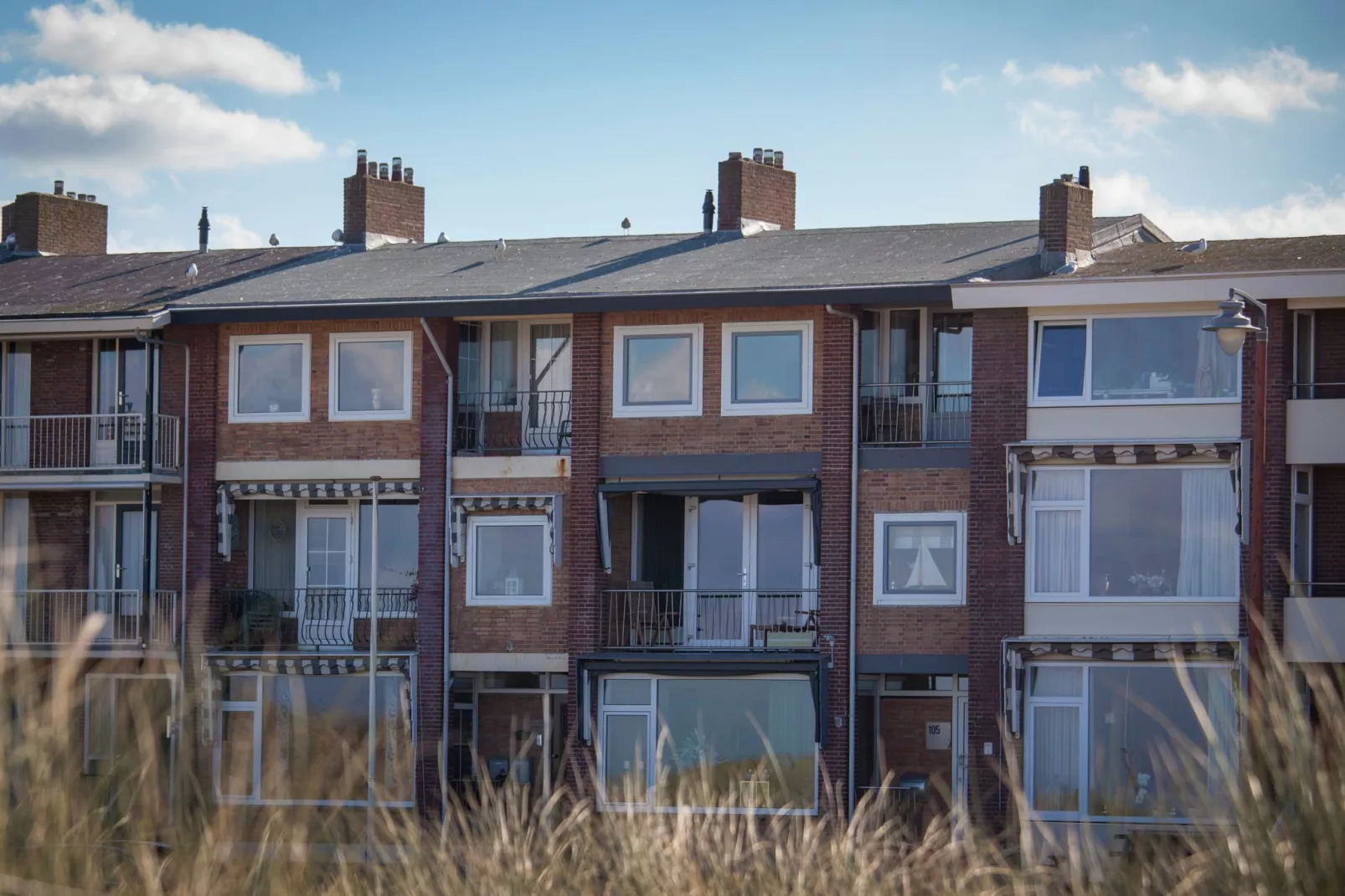 Gezellig appartement in Nederland dicht bij het strand-Buitenkant zomer