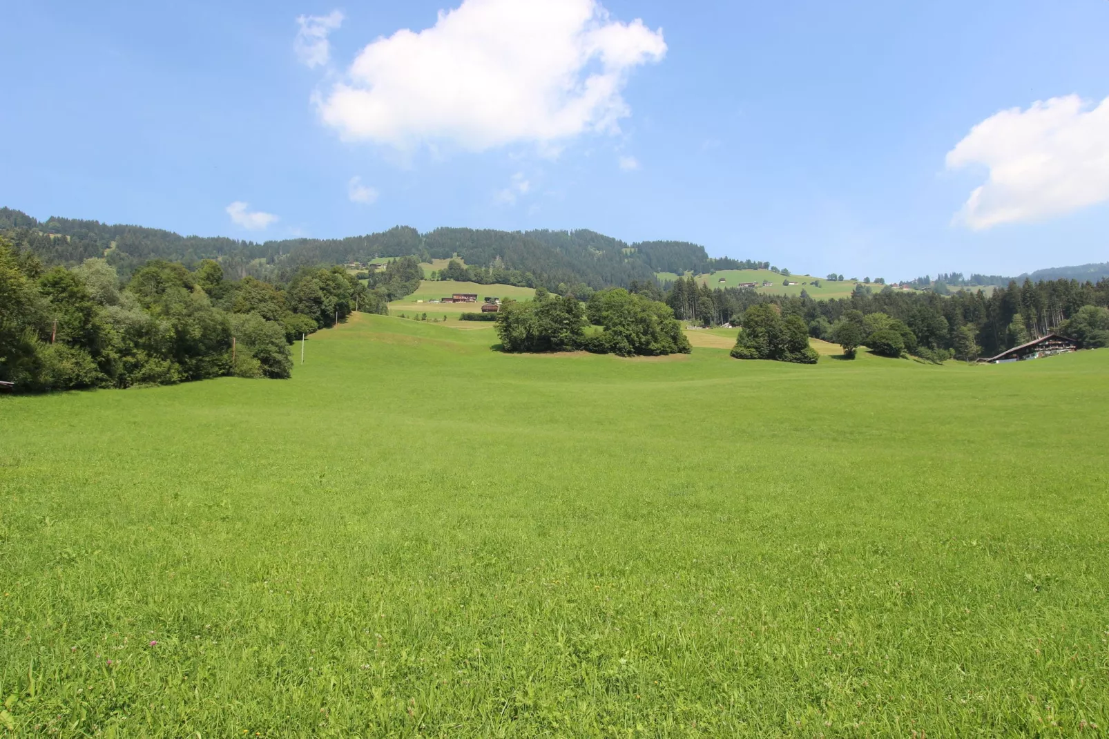 Wirtheim-Gebieden zomer 5km