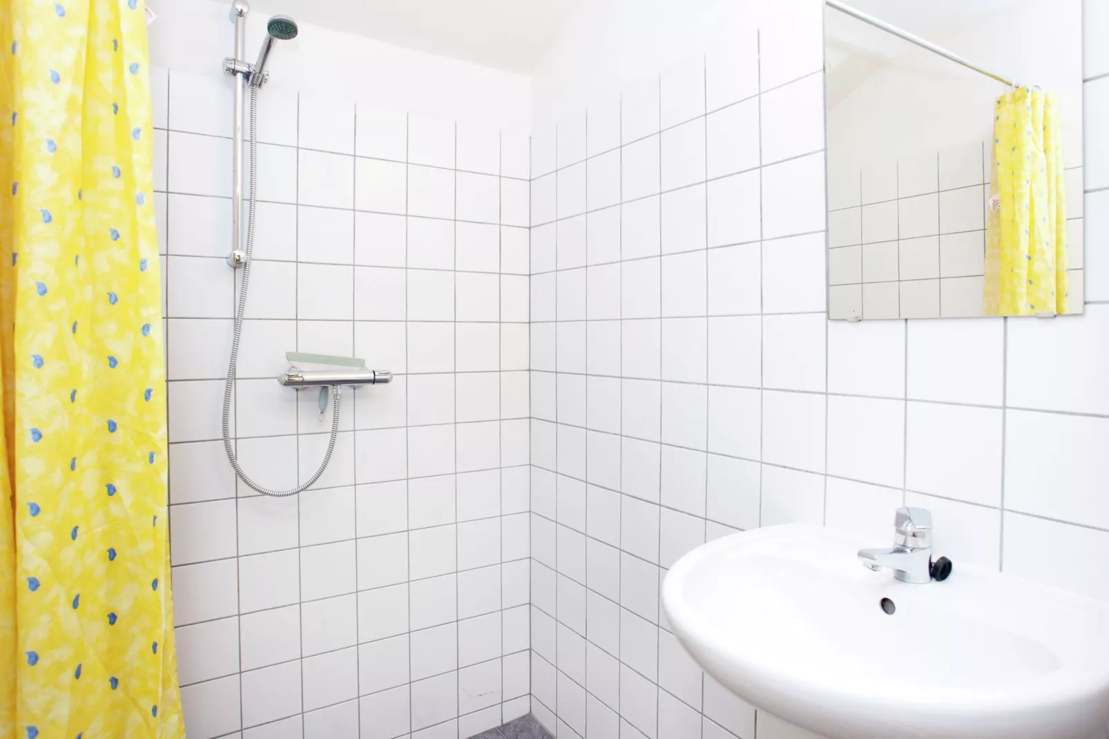 Hoeve de Schoor - Bakhuys-Badkamer