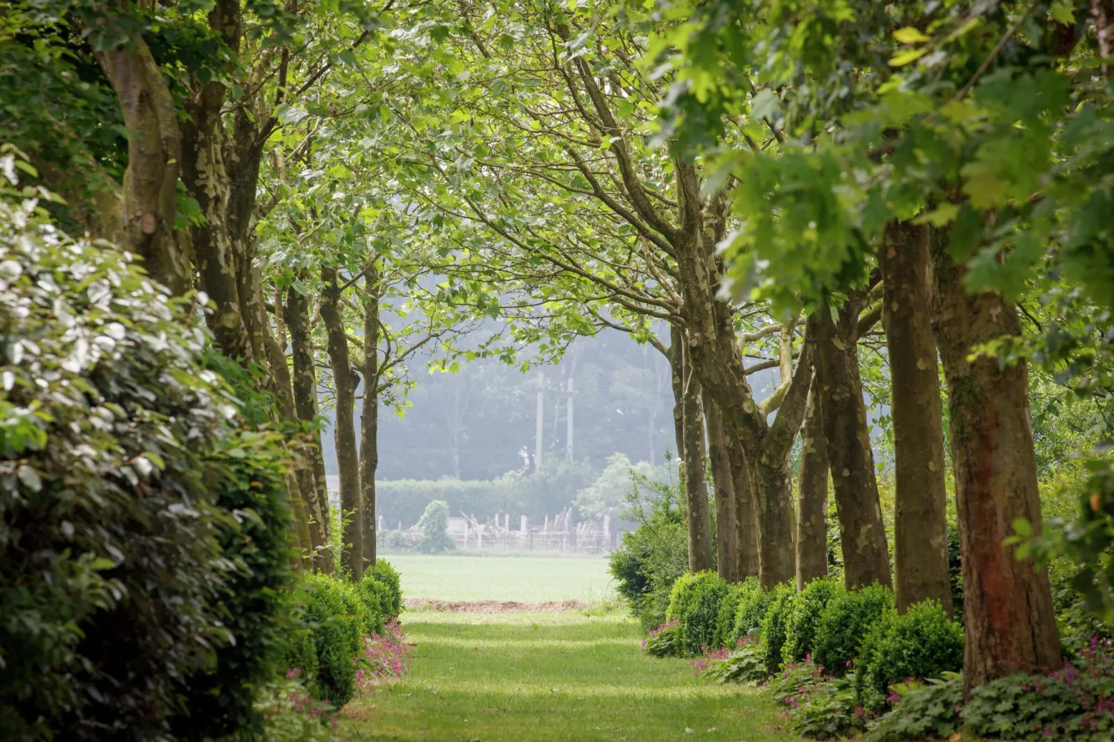 Hoeve de Schoor - Bakhuys-Tuinen zomer