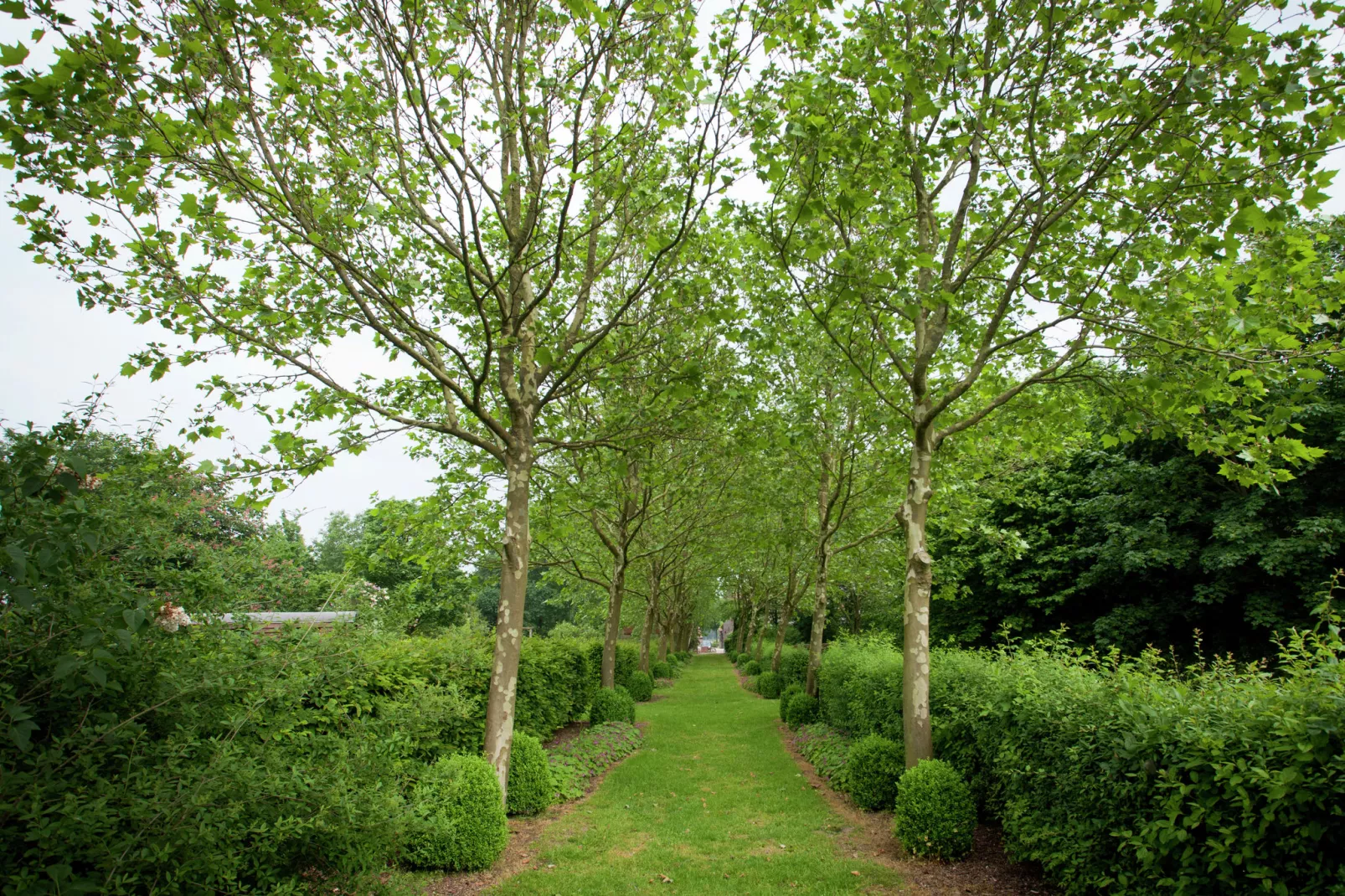 Hoeve de Schoor - Houte Huys-Tuinen zomer