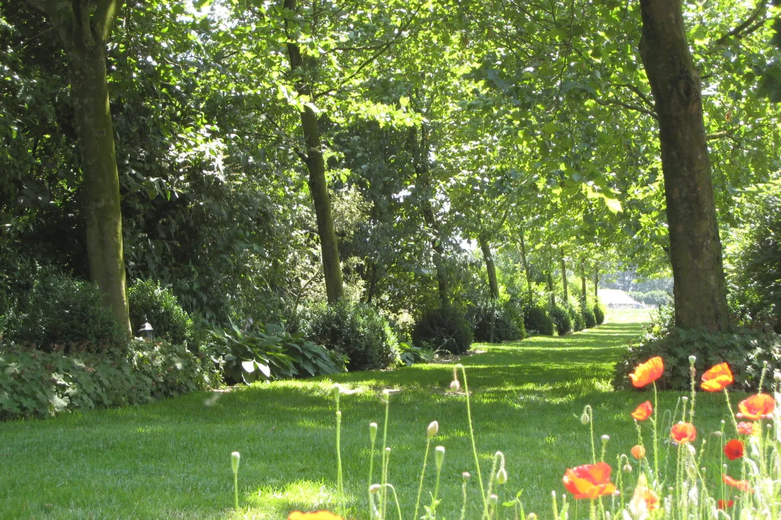 Hoeve de Schoor - Houte Huys-Gebieden zomer 1km