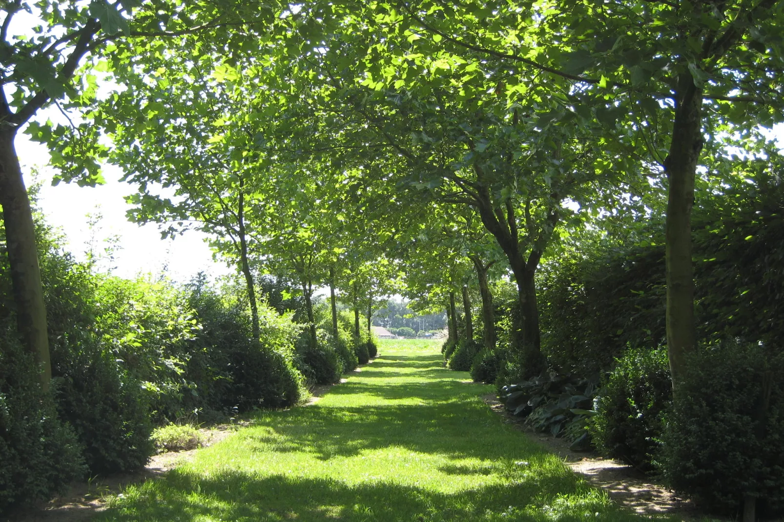 Hoeve de Schoor - Houte Huys-Gebieden zomer 1km