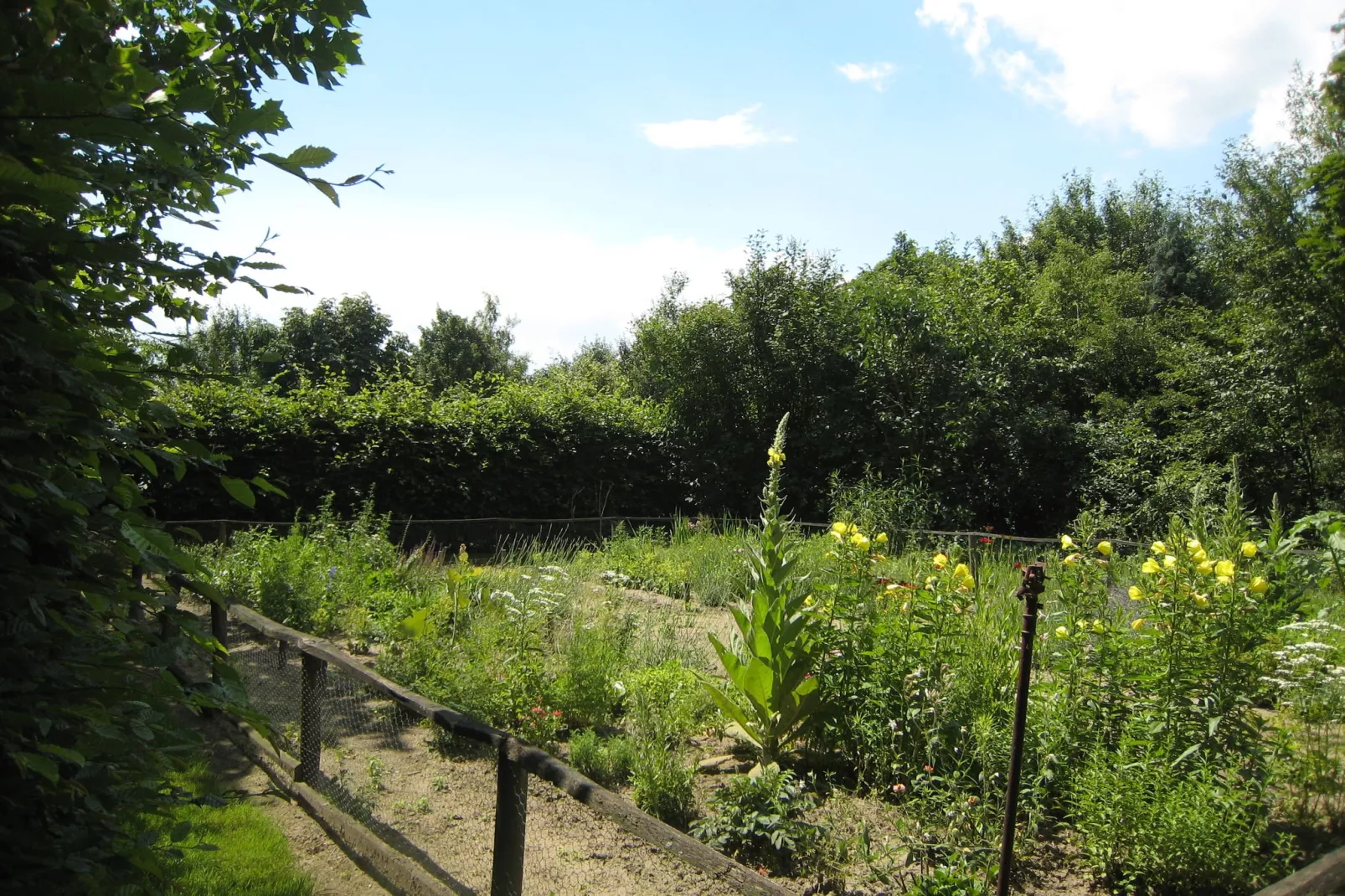 Hoeve de Schoor - Houte Huys-Gebieden zomer 1km