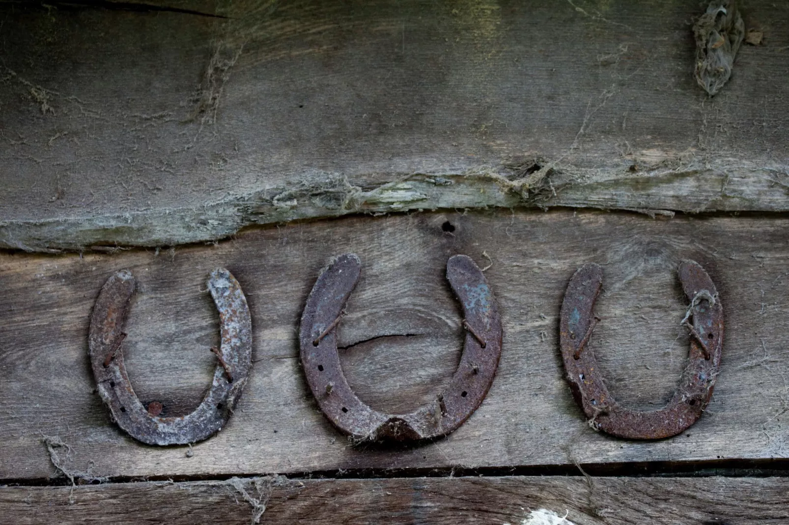 Hoeve de Schoor - Houte Huys-Sfeer