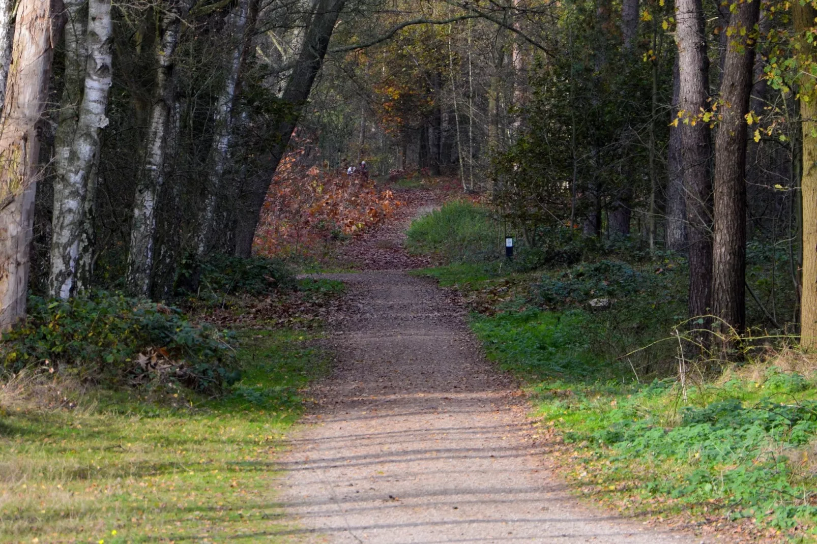 Maaspark Boschmolenplas - Vennenblik-Gebieden zomer 5km