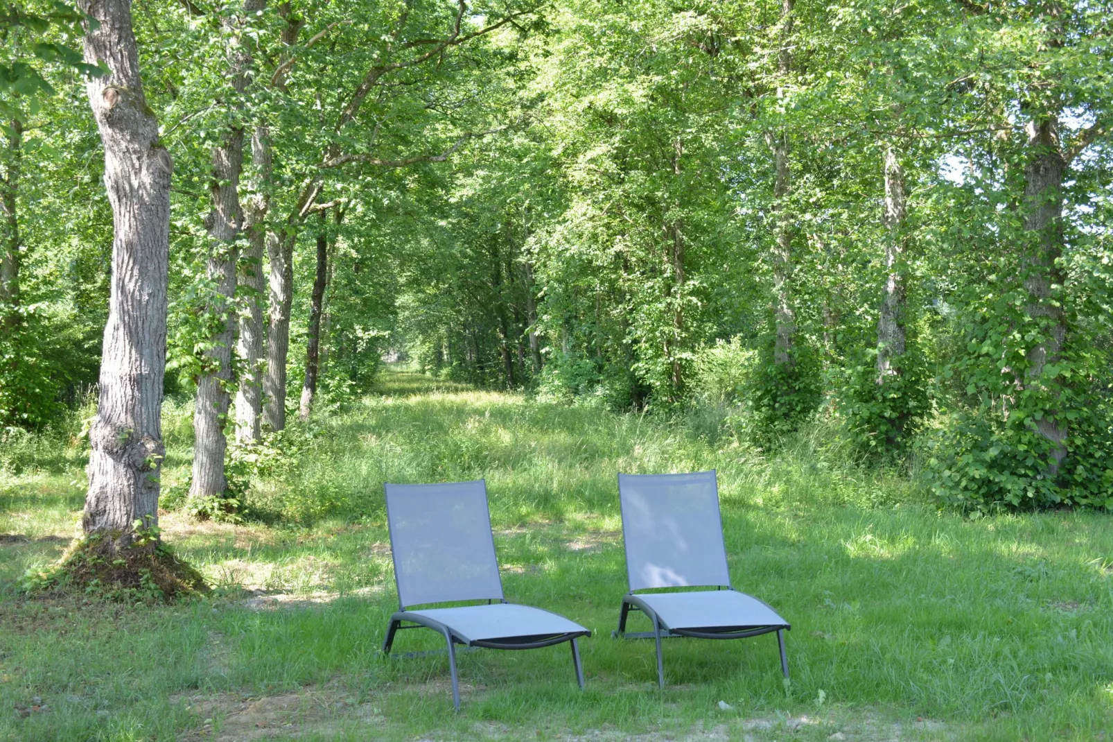 La Drève du Château-Tuinen zomer