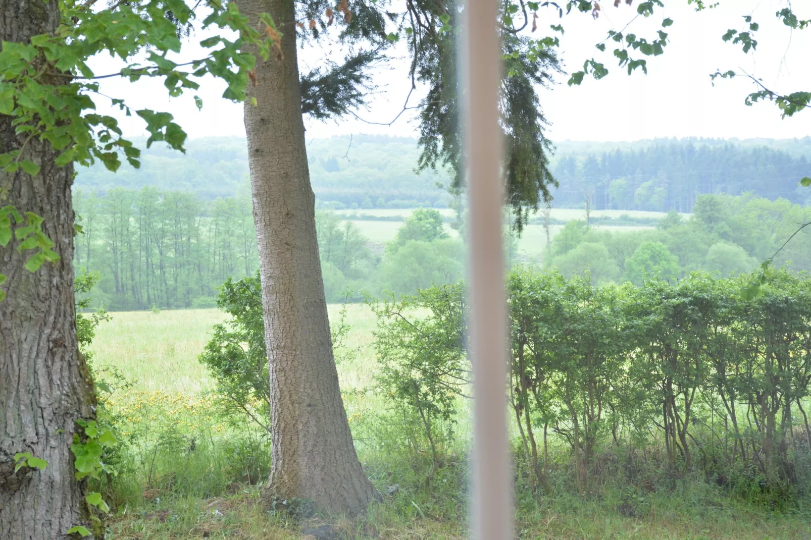 La Drève du Château-Uitzicht zomer