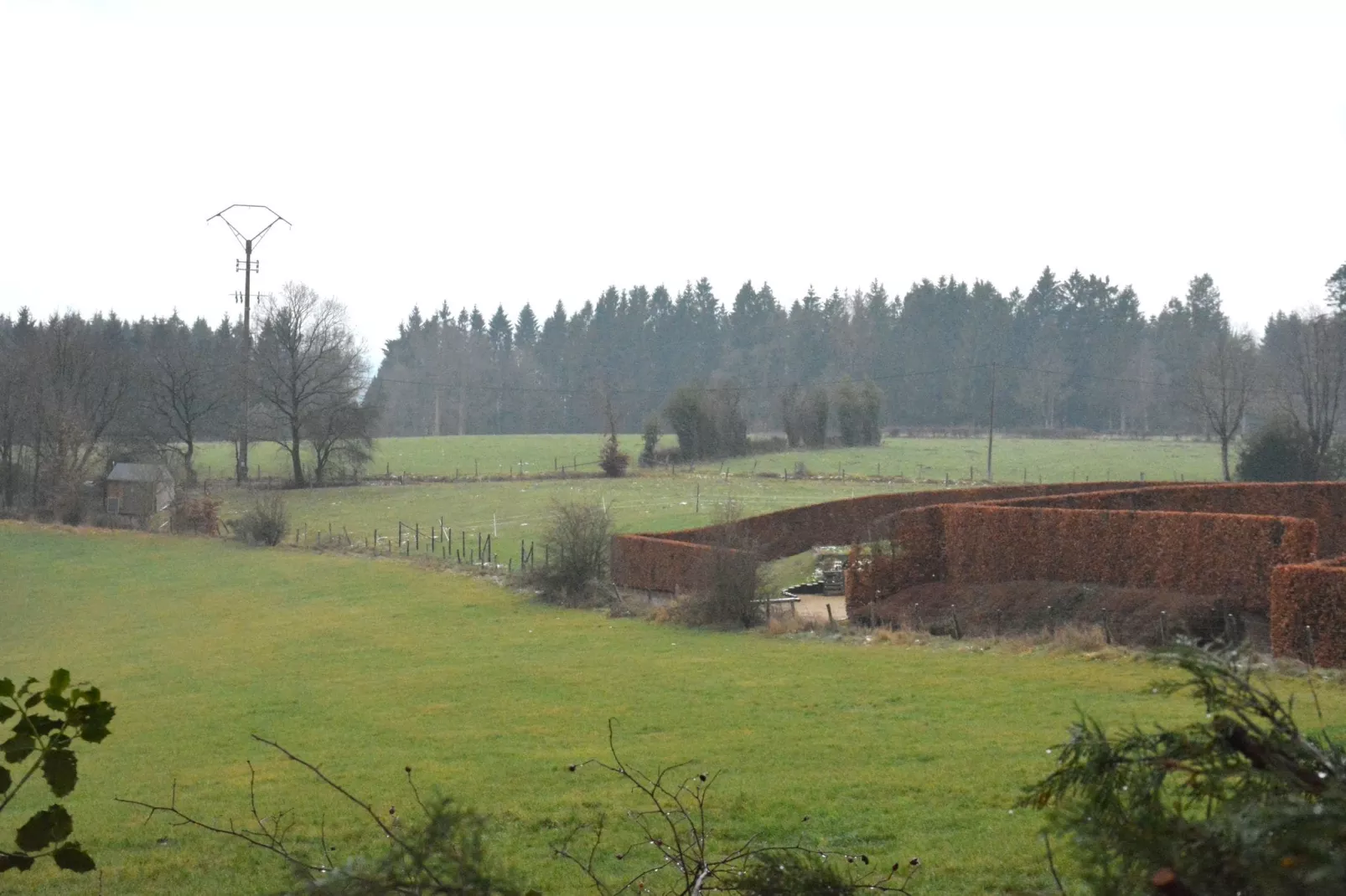 Gîte Forester-Uitzicht zomer