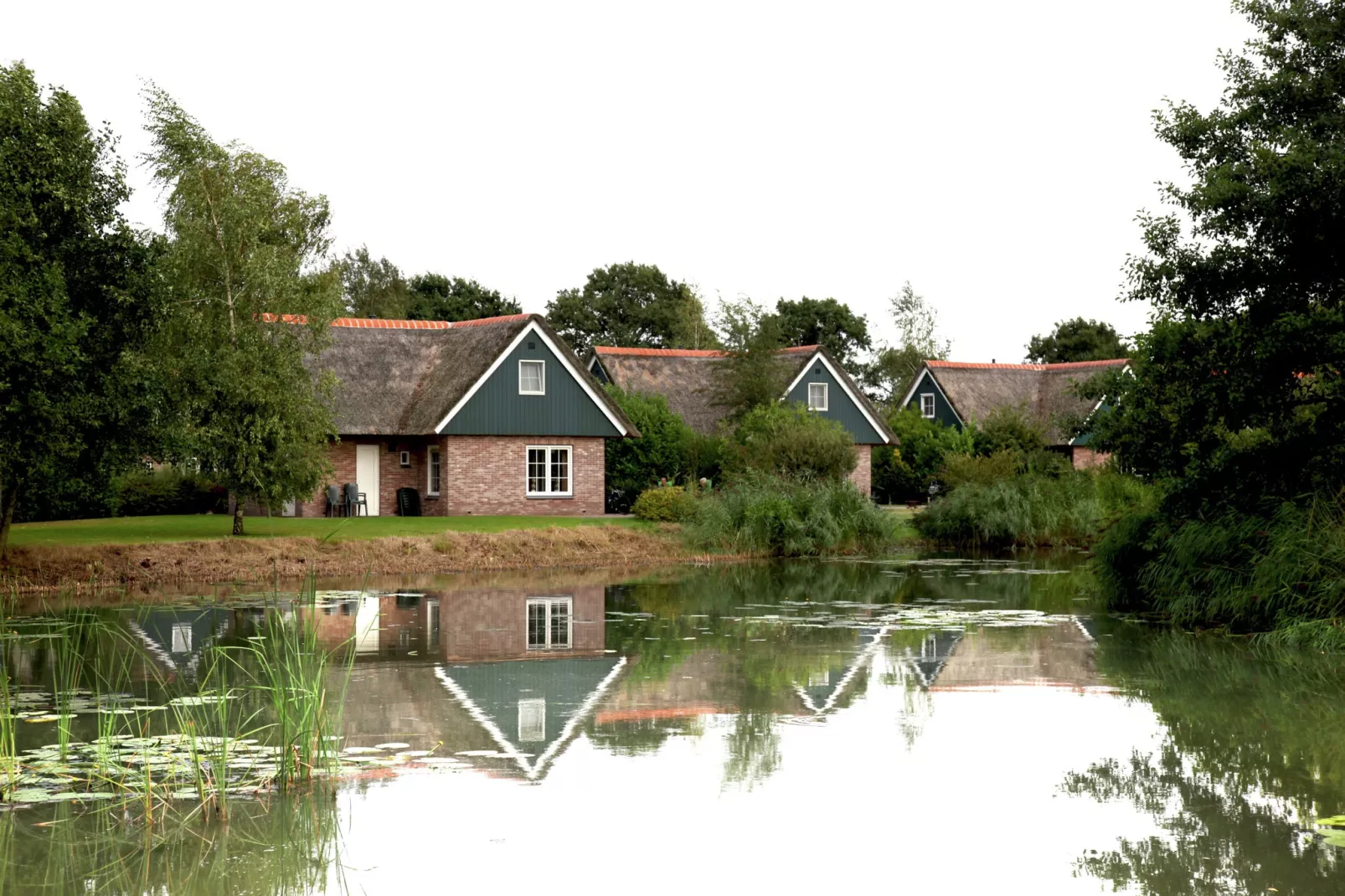 Villapark De Weerribben 2-Buitenkant zomer