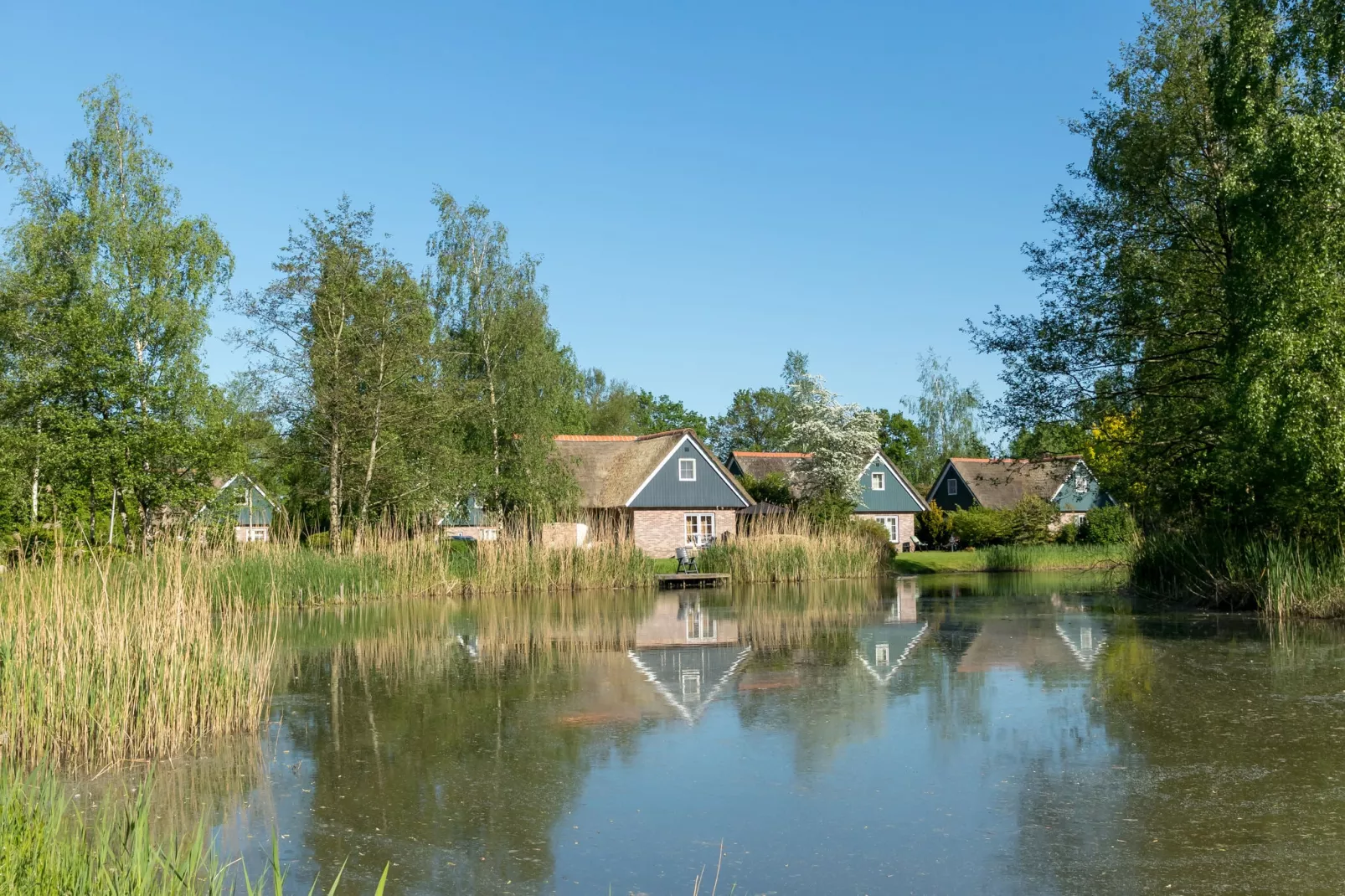 Villapark De Weerribben 4-Parkfaciliteiten