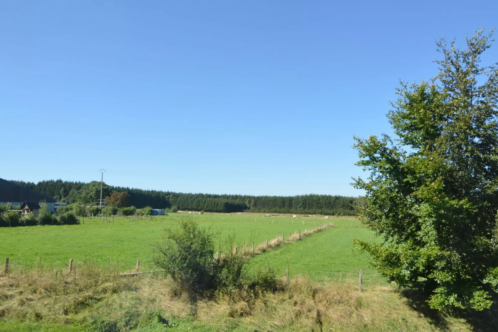 Les Bains 33 p-Gebieden zomer 1km