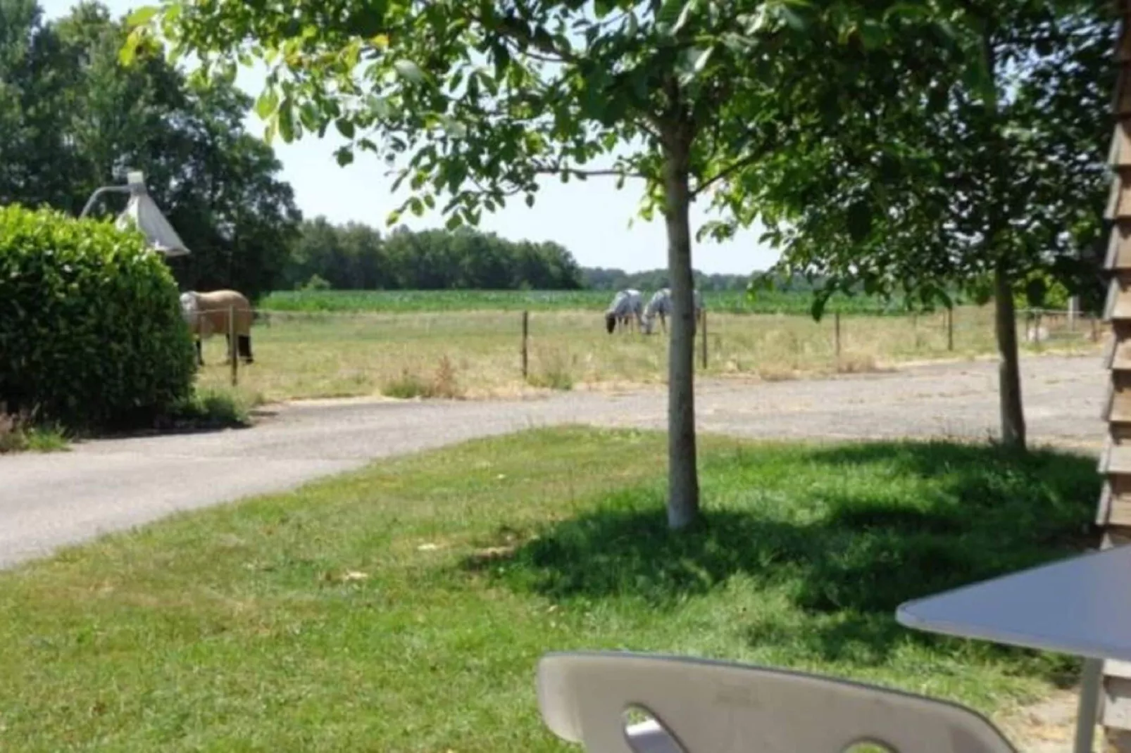 Singelhoeve-Uitzicht zomer