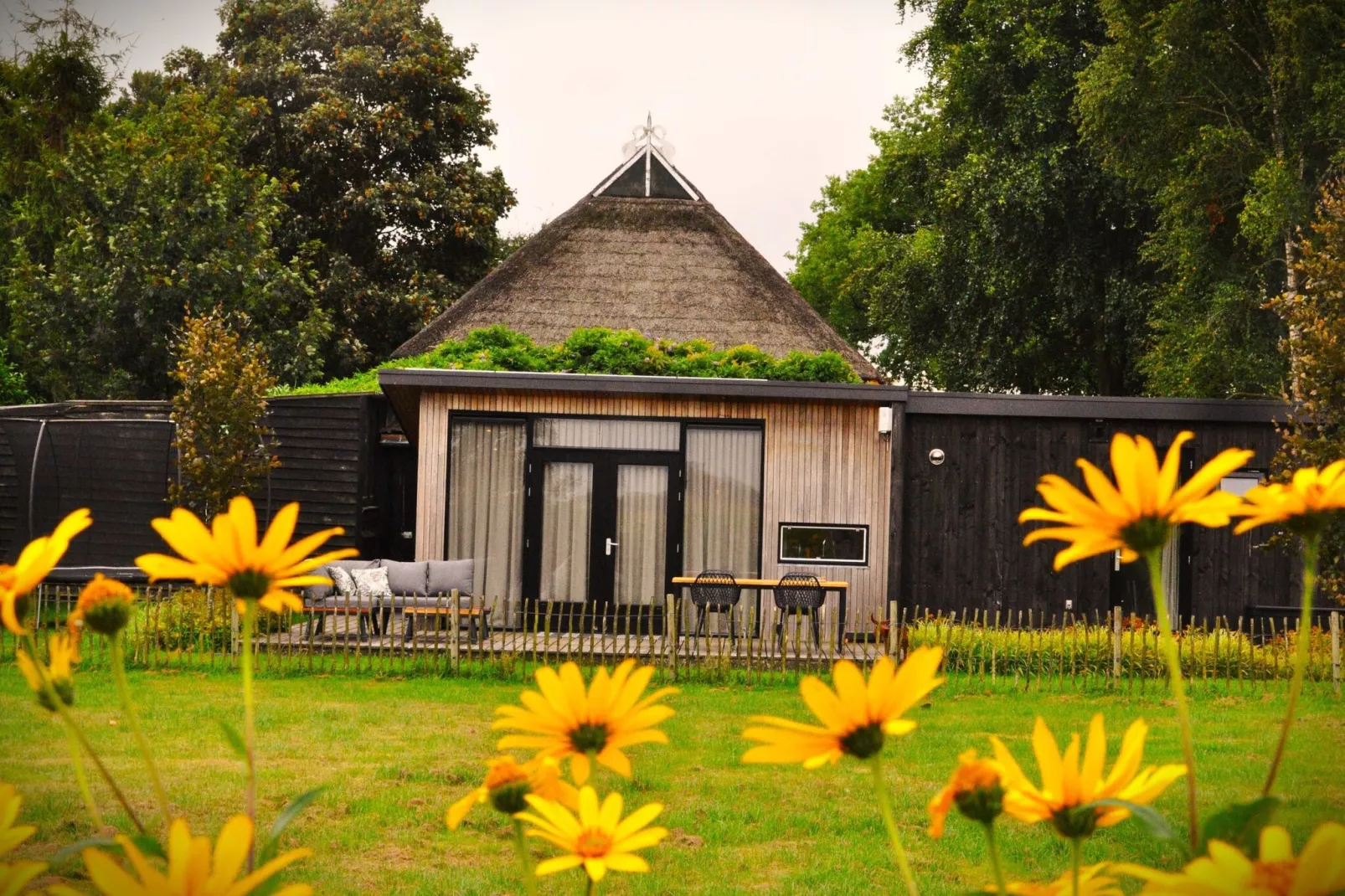 Chalet Vrijzicht-Buitenkant zomer