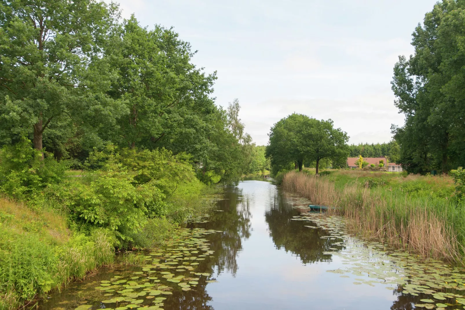 Haulervaart-Gebieden zomer 1km