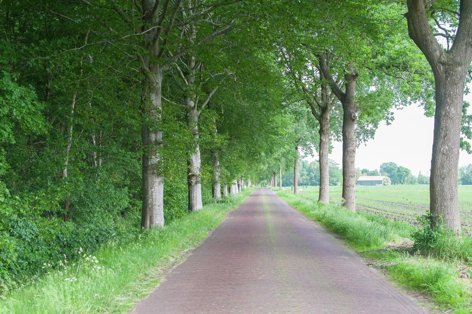 De Blauwe Bok-Gebieden zomer 5km