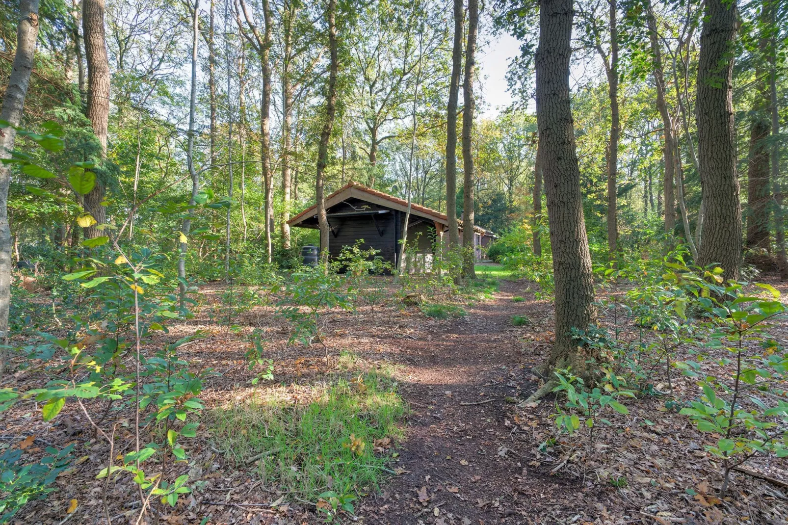 The Forest Cottage-Tuinen zomer