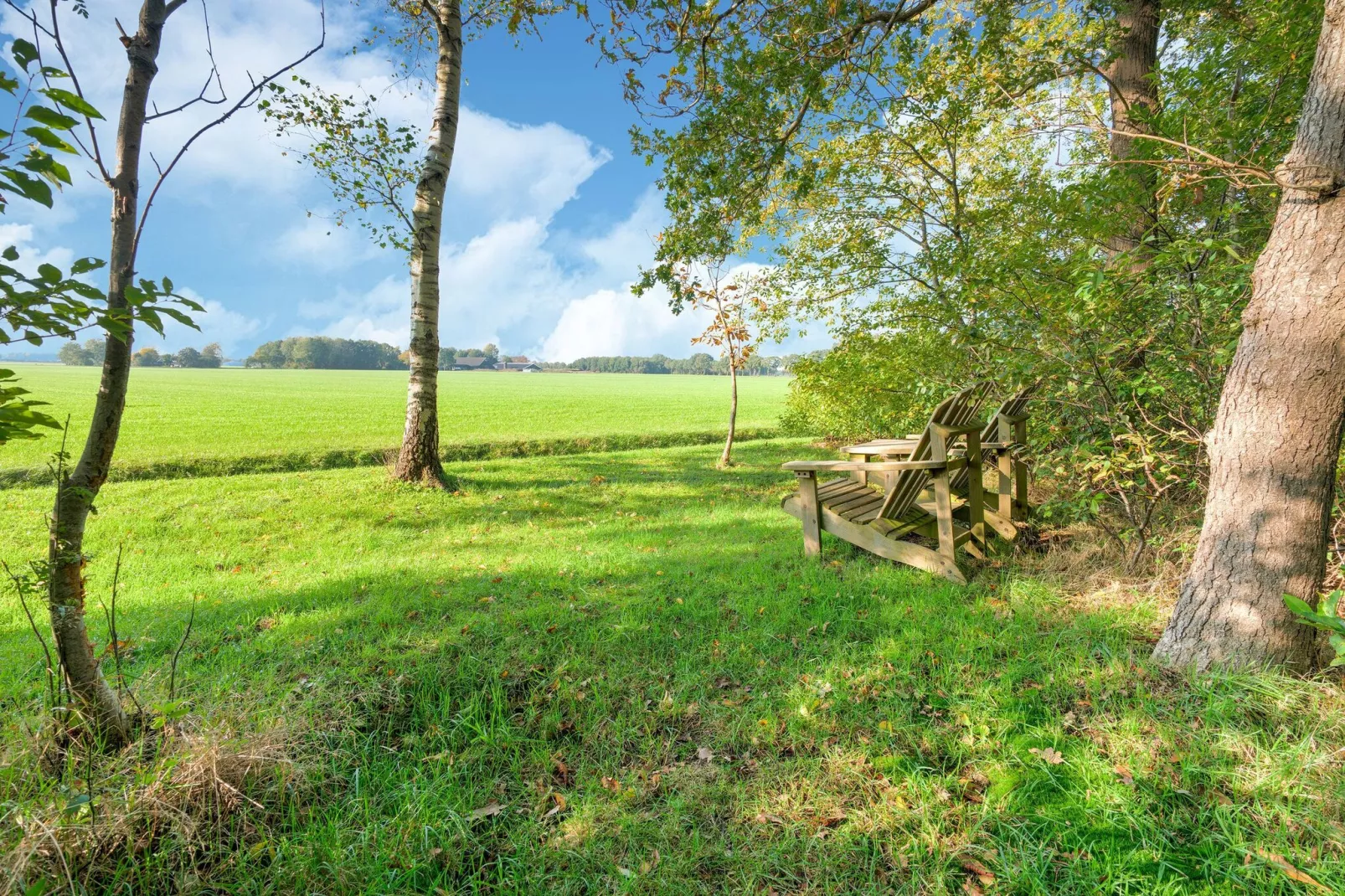 The Forest Cottage-Uitzicht zomer